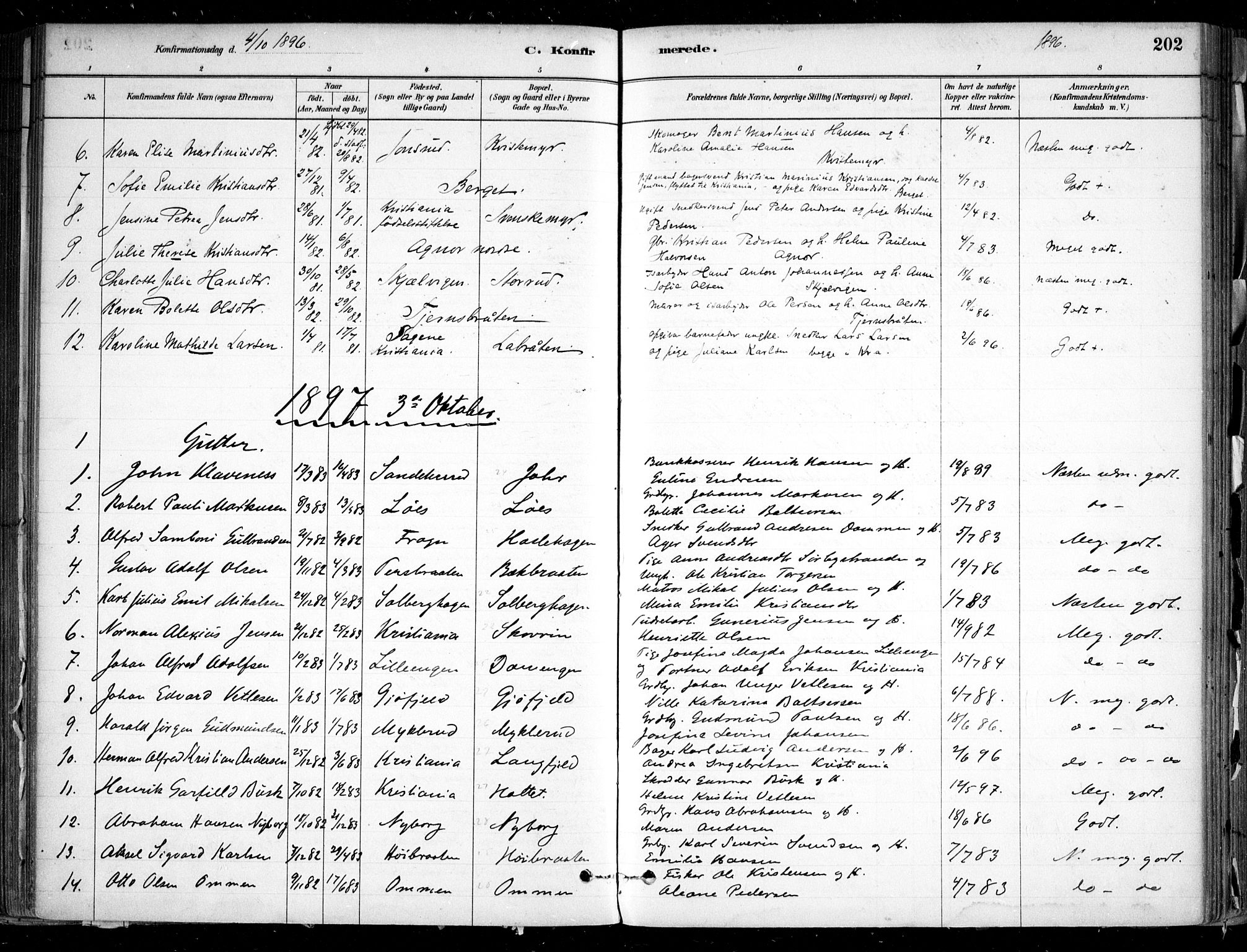 Nesodden prestekontor Kirkebøker, SAO/A-10013/F/Fa/L0009: Parish register (official) no. I 9, 1880-1915, p. 202