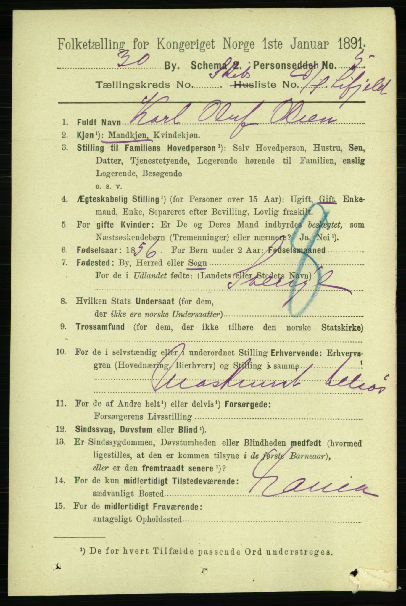 RA, 1891 census for 0806 Skien, 1891, p. 11514