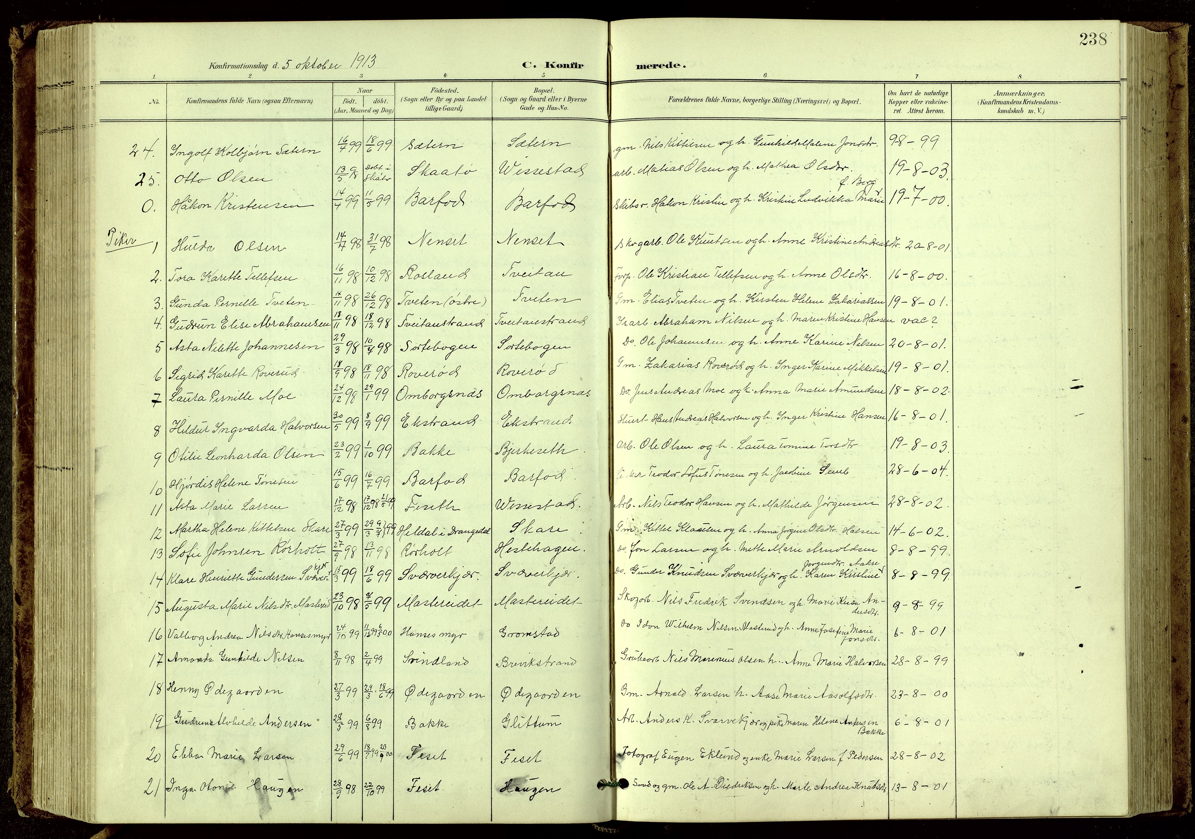 Bamble kirkebøker, SAKO/A-253/G/Ga/L0010: Parish register (copy) no. I 10, 1901-1919, p. 238