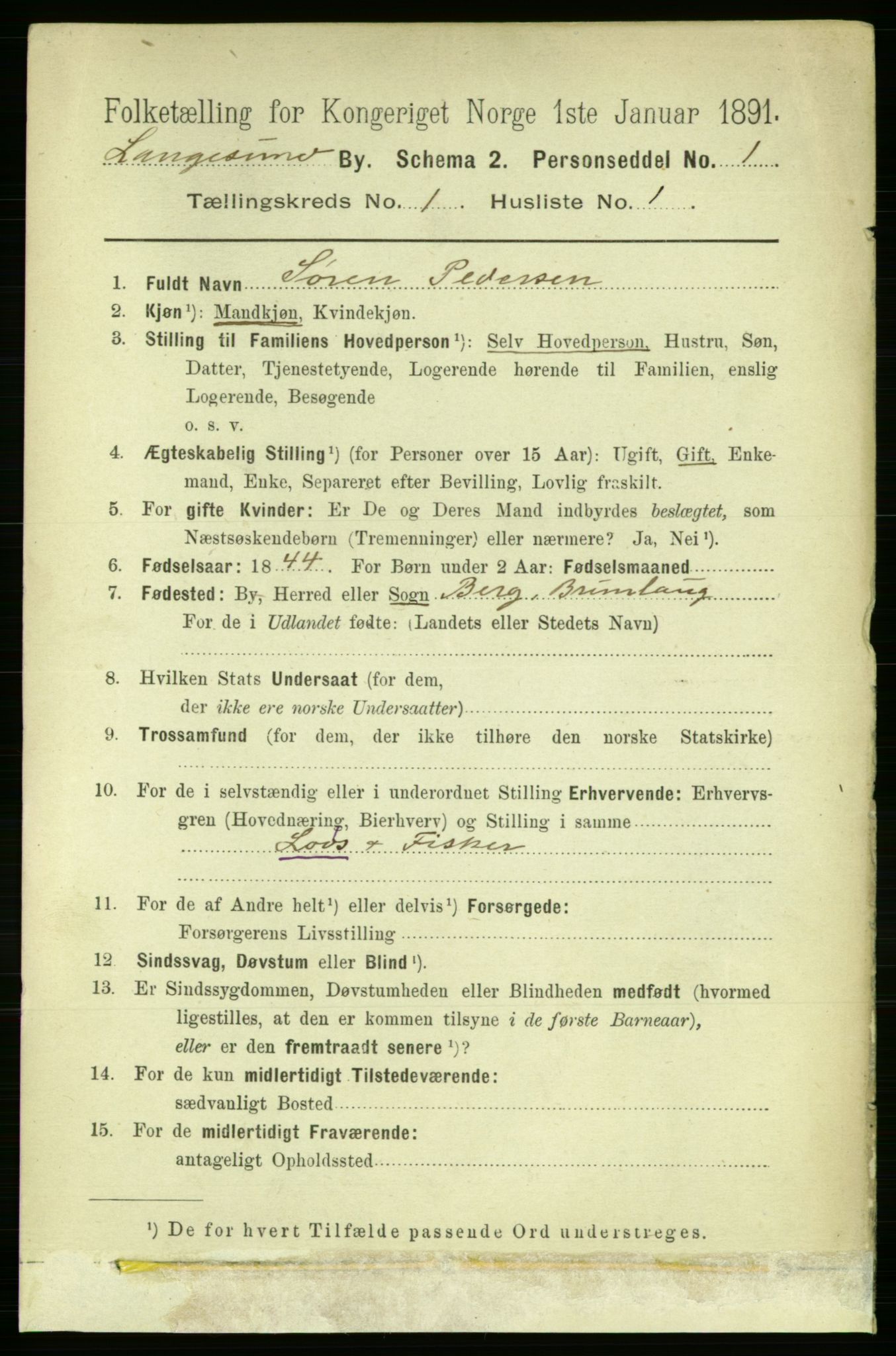 RA, 1891 census for 0802 Langesund, 1891, p. 503