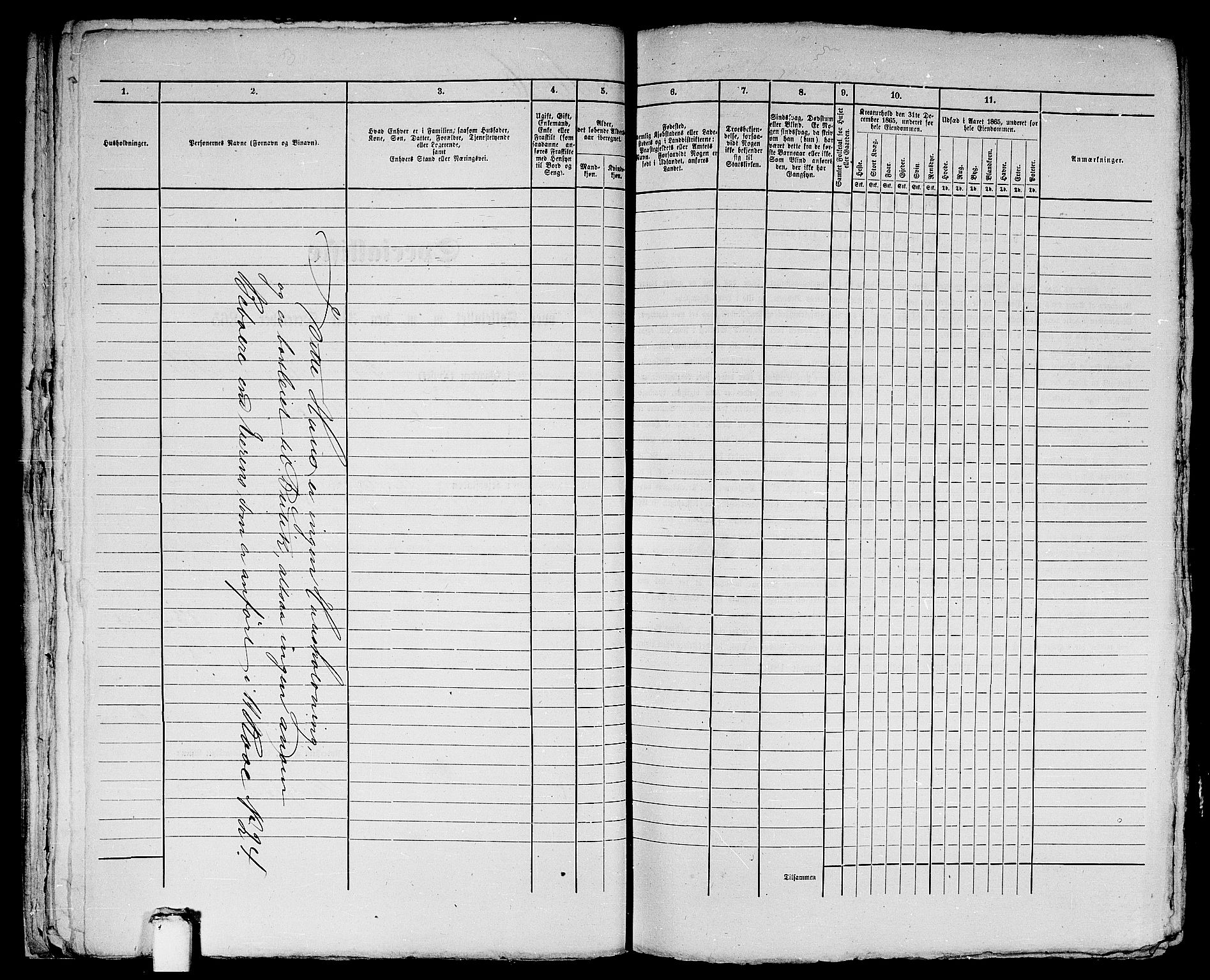 RA, 1865 census for Bergen, 1865, p. 2093