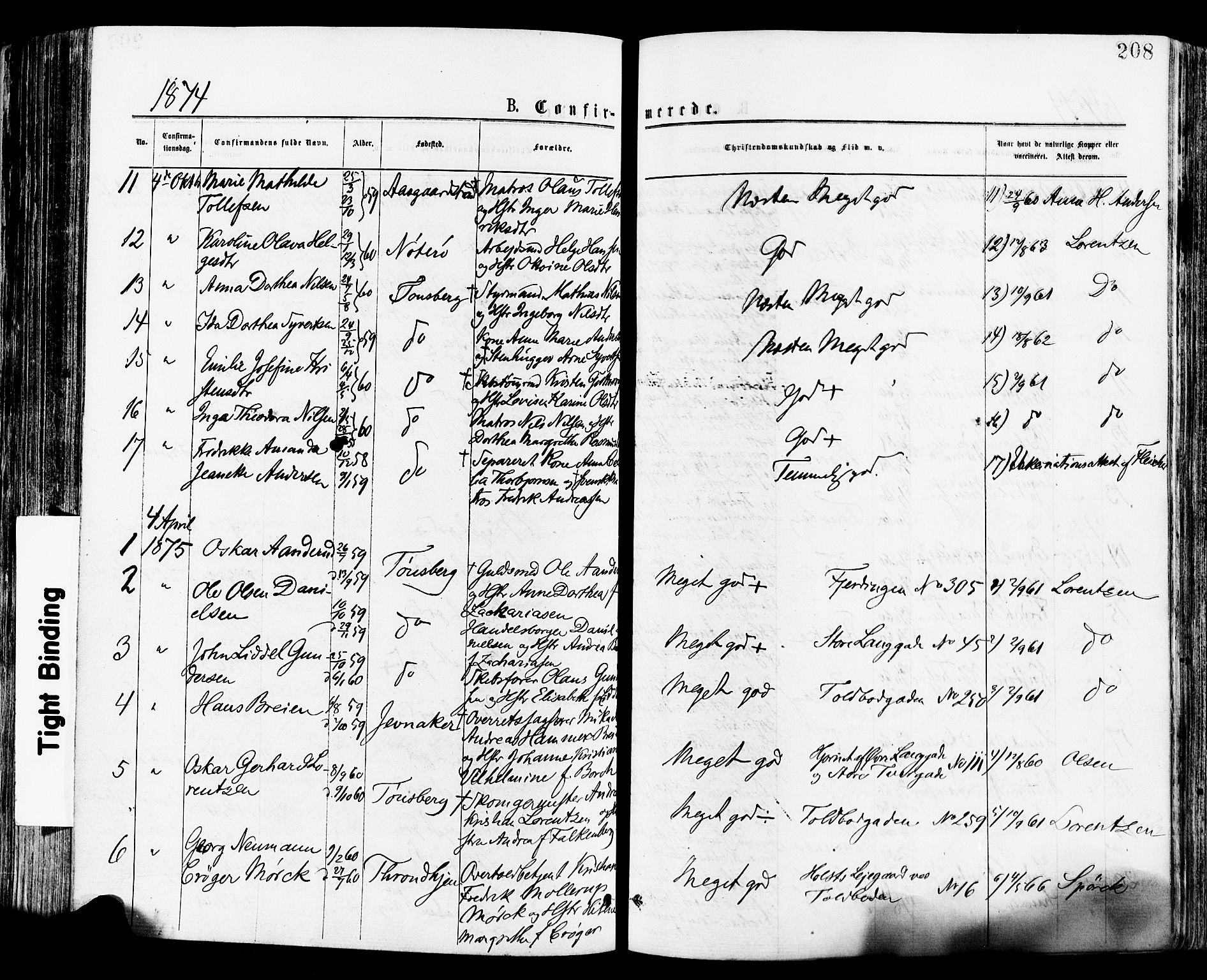 Tønsberg kirkebøker, AV/SAKO-A-330/F/Fa/L0010: Parish register (official) no. I 10, 1874-1880, p. 208