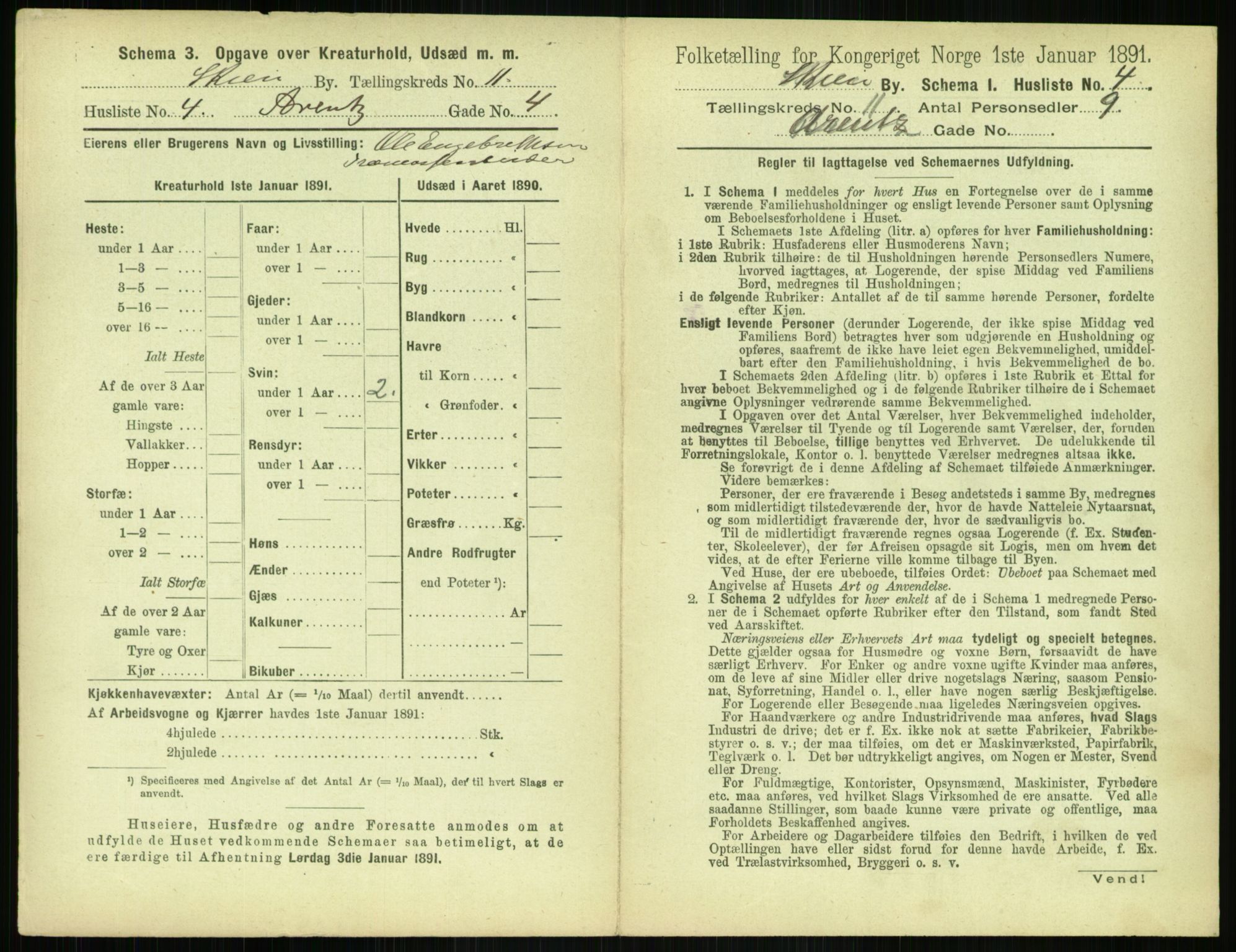 RA, 1891 census for 0806 Skien, 1891, p. 460