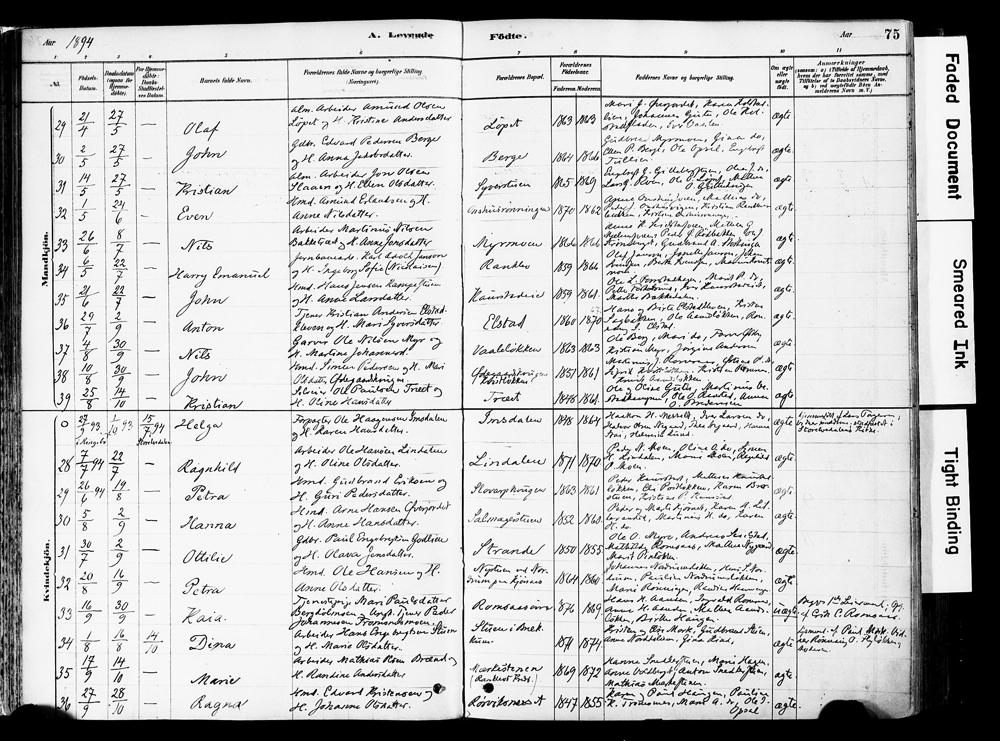 Ringebu prestekontor, AV/SAH-PREST-082/H/Ha/Haa/L0008: Parish register (official) no. 8, 1878-1898, p. 75