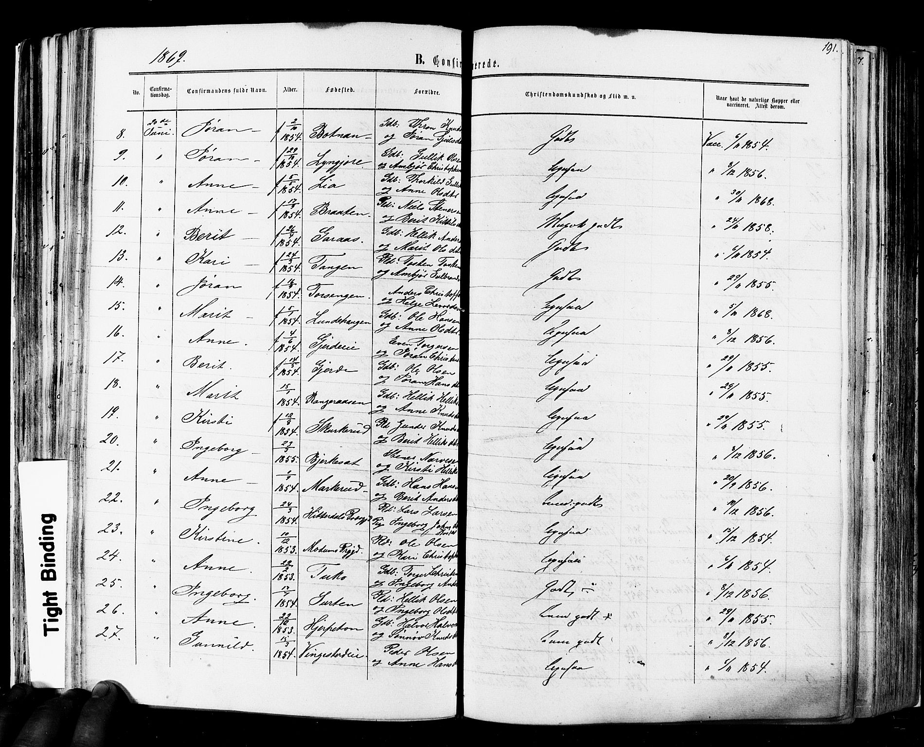 Flesberg kirkebøker, SAKO/A-18/F/Fa/L0007: Parish register (official) no. I 7, 1861-1878, p. 191