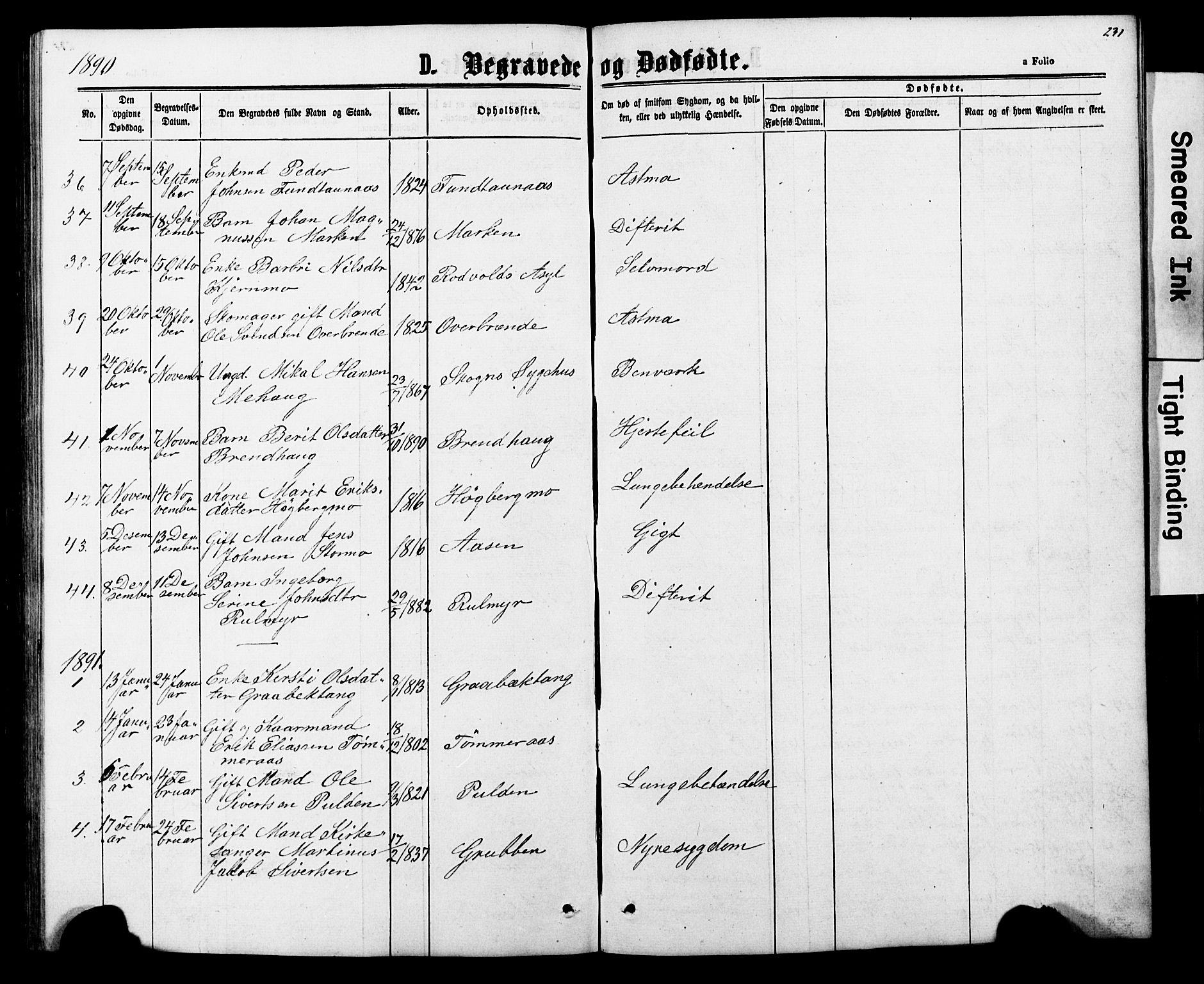 Ministerialprotokoller, klokkerbøker og fødselsregistre - Nord-Trøndelag, SAT/A-1458/706/L0049: Parish register (copy) no. 706C01, 1864-1895, p. 231