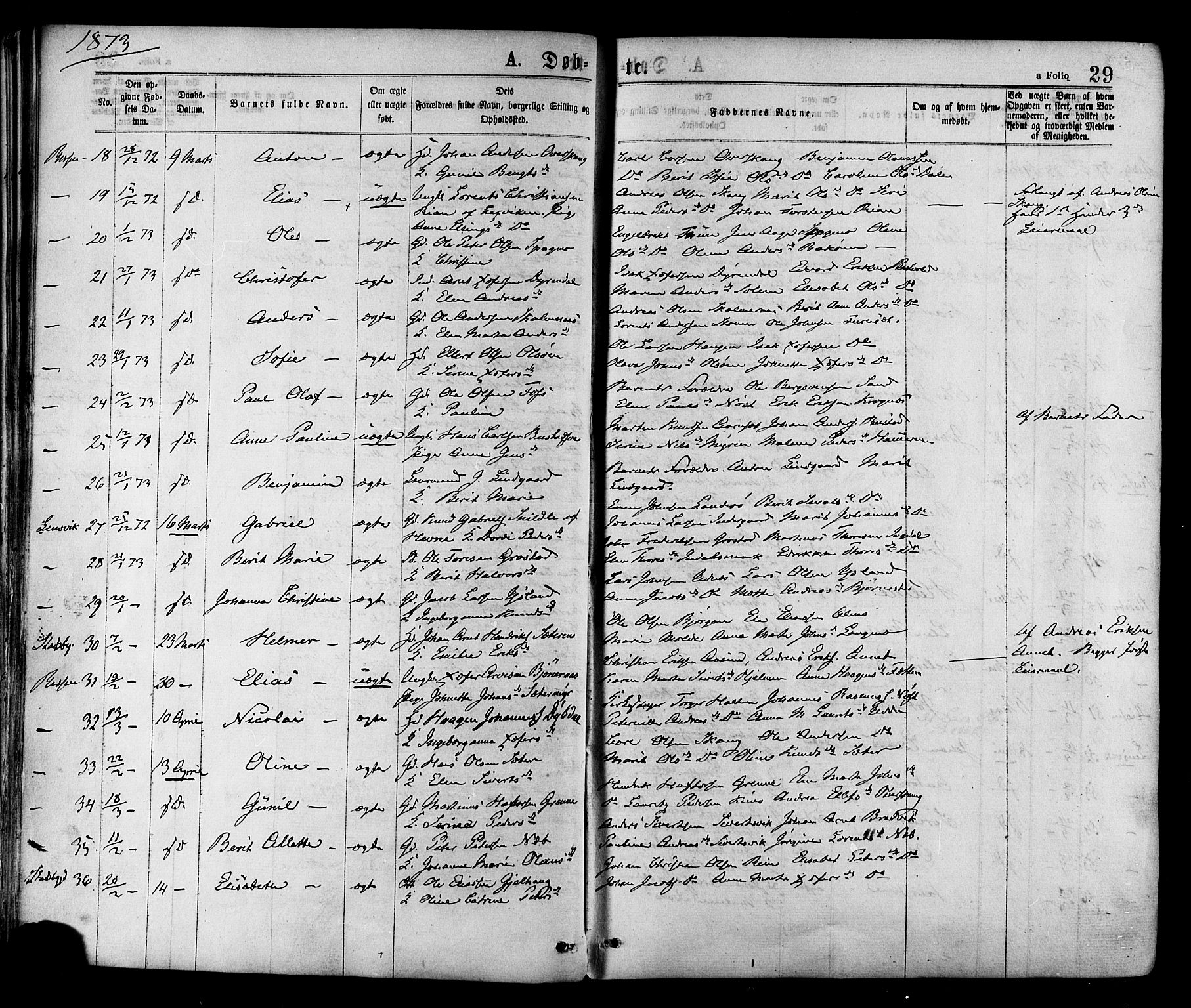 Ministerialprotokoller, klokkerbøker og fødselsregistre - Sør-Trøndelag, SAT/A-1456/646/L0613: Parish register (official) no. 646A11, 1870-1884, p. 29
