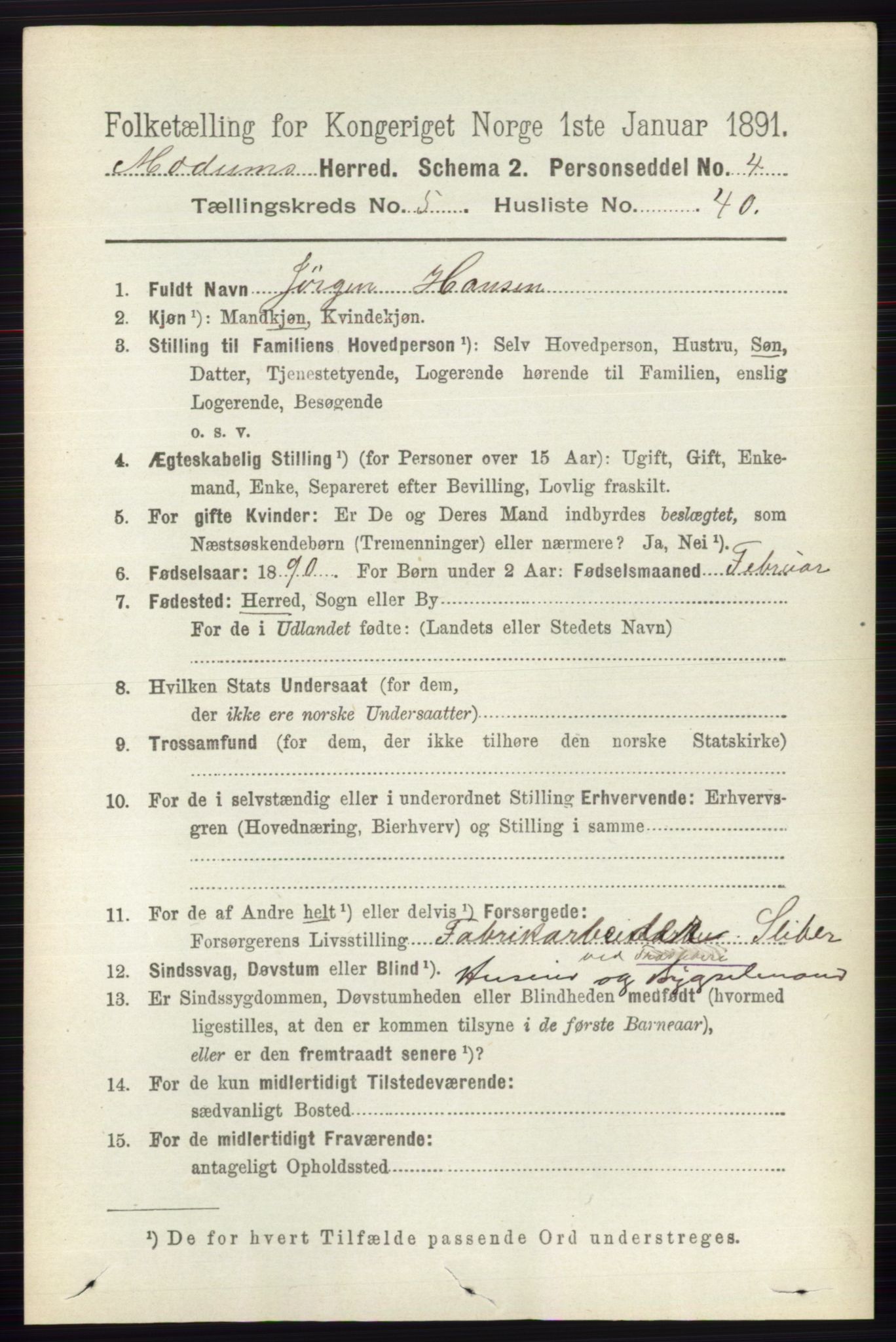 RA, 1891 census for 0623 Modum, 1891, p. 1729