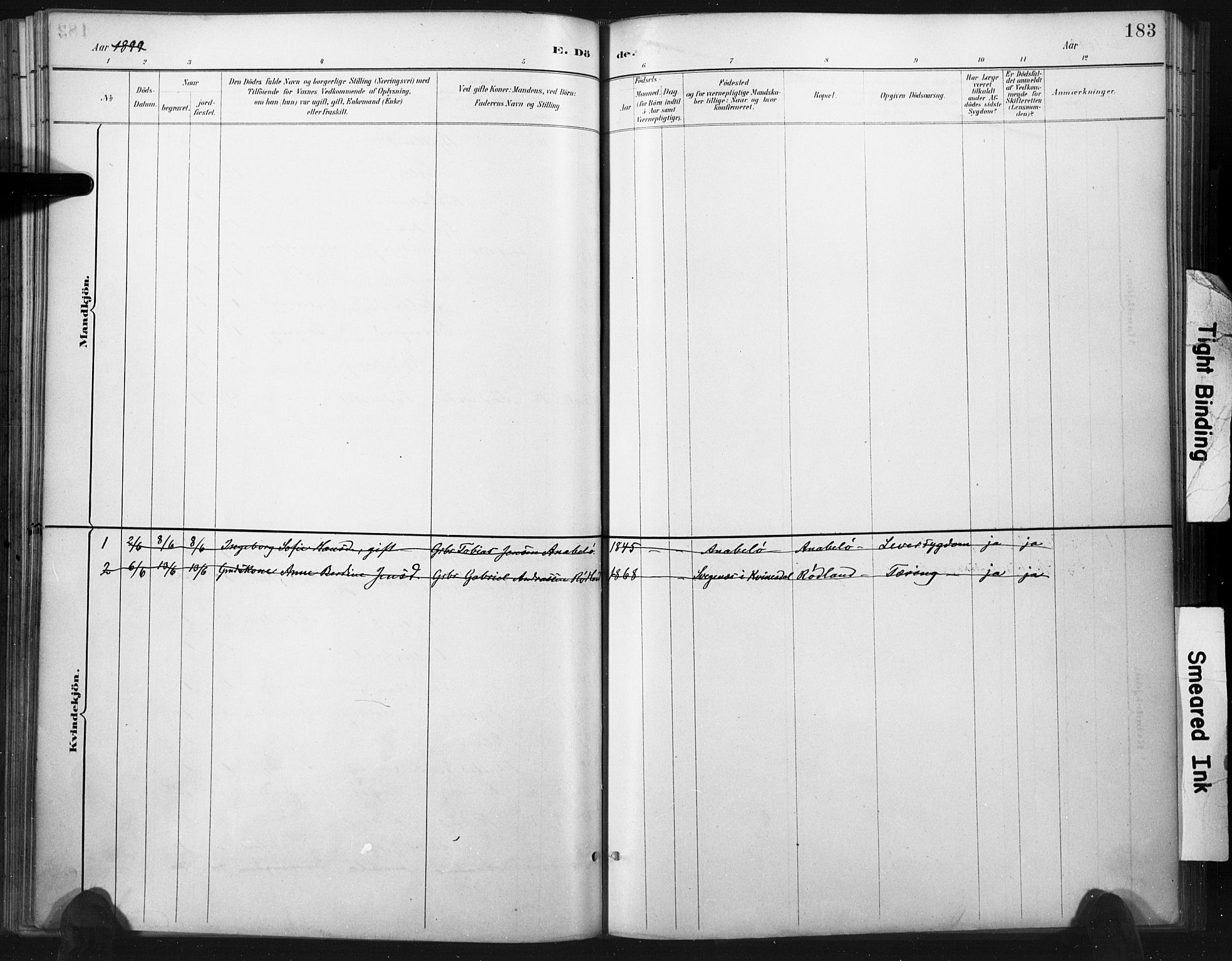 Flekkefjord sokneprestkontor, AV/SAK-1111-0012/F/Fa/Fac/L0008: Parish register (official) no. A 8, 1885-1898, p. 183