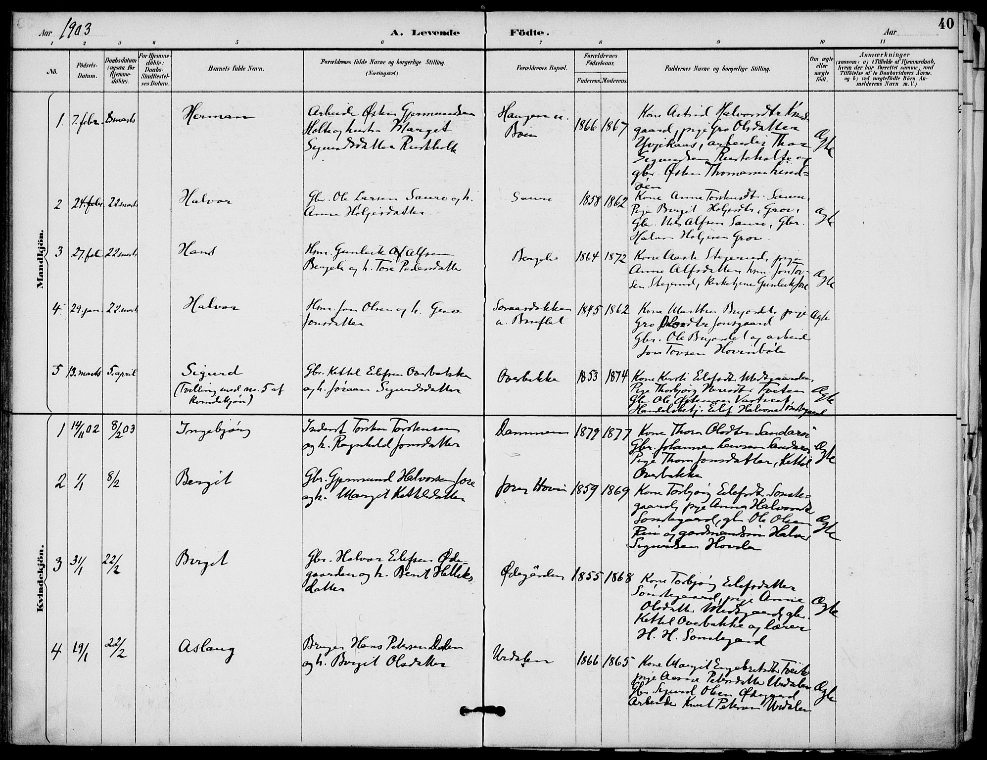 Gransherad kirkebøker, AV/SAKO-A-267/F/Fb/L0005: Parish register (official) no. II 5, 1887-1916, p. 40