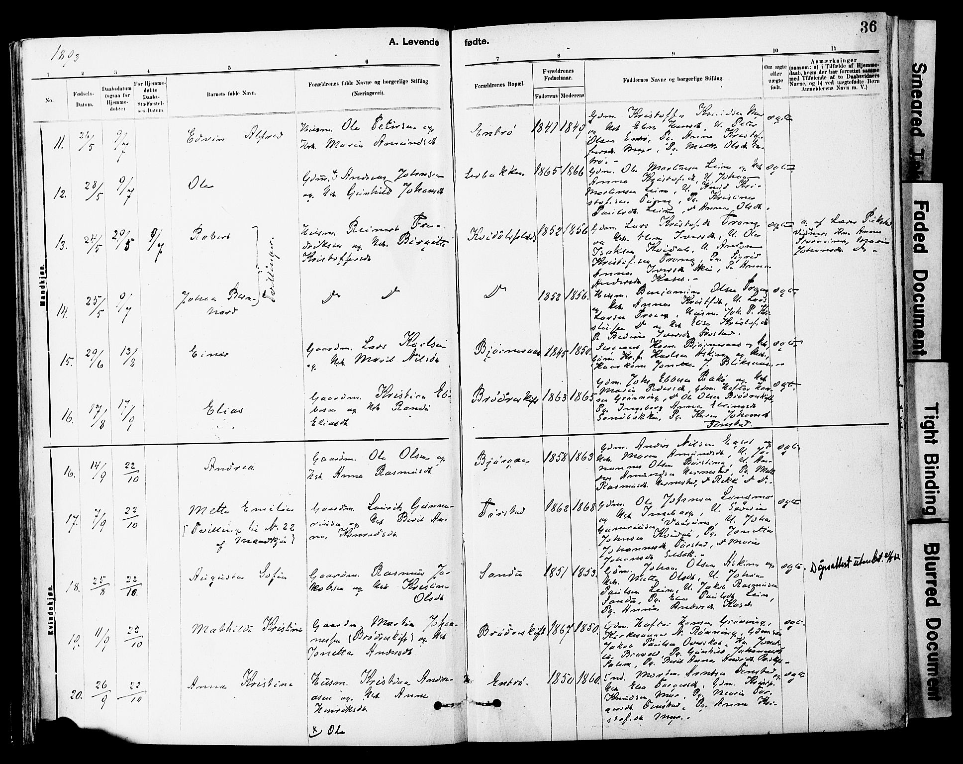 Ministerialprotokoller, klokkerbøker og fødselsregistre - Sør-Trøndelag, AV/SAT-A-1456/646/L0615: Parish register (official) no. 646A13, 1885-1900, p. 36