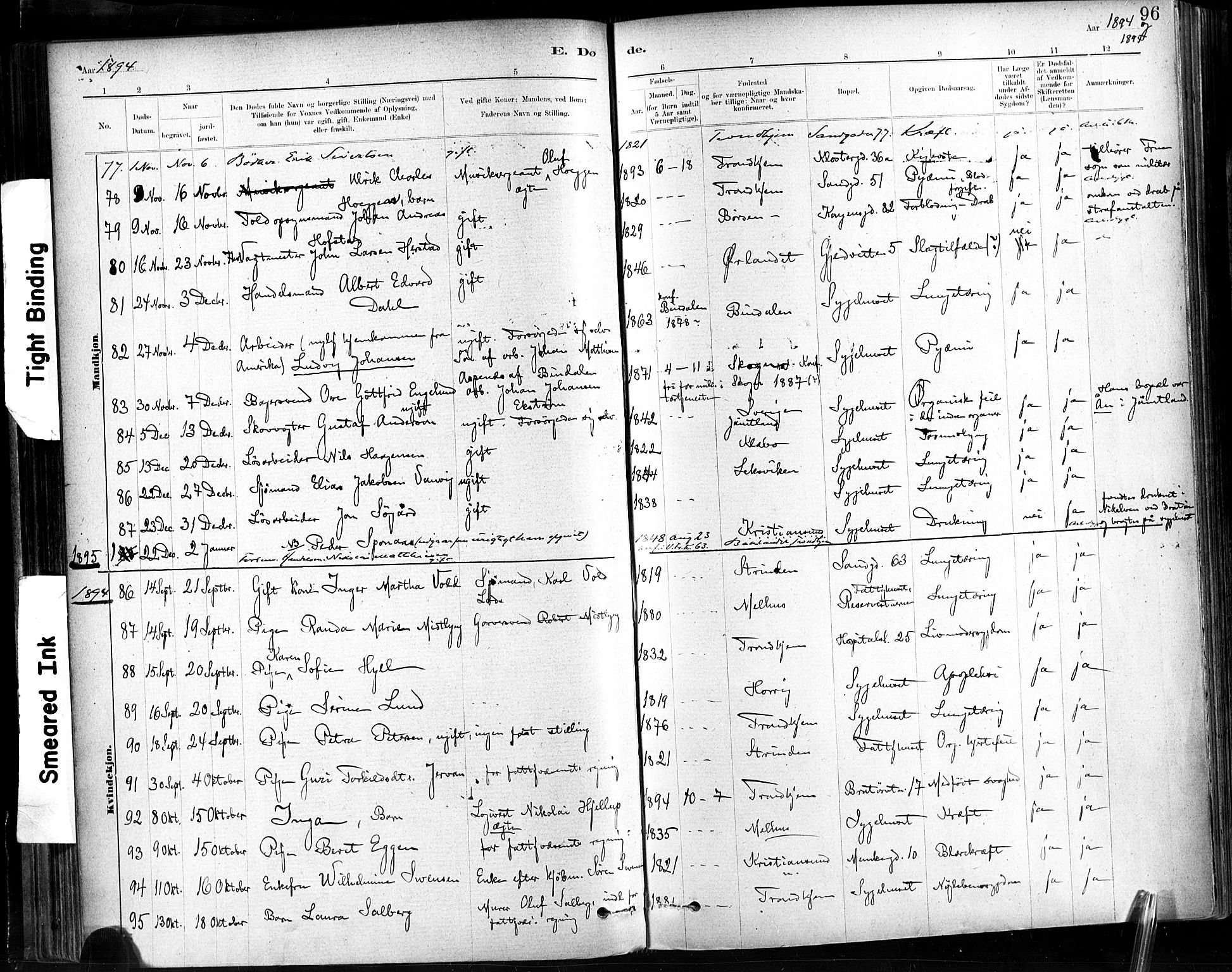 Ministerialprotokoller, klokkerbøker og fødselsregistre - Sør-Trøndelag, AV/SAT-A-1456/602/L0120: Parish register (official) no. 602A18, 1880-1913, p. 96