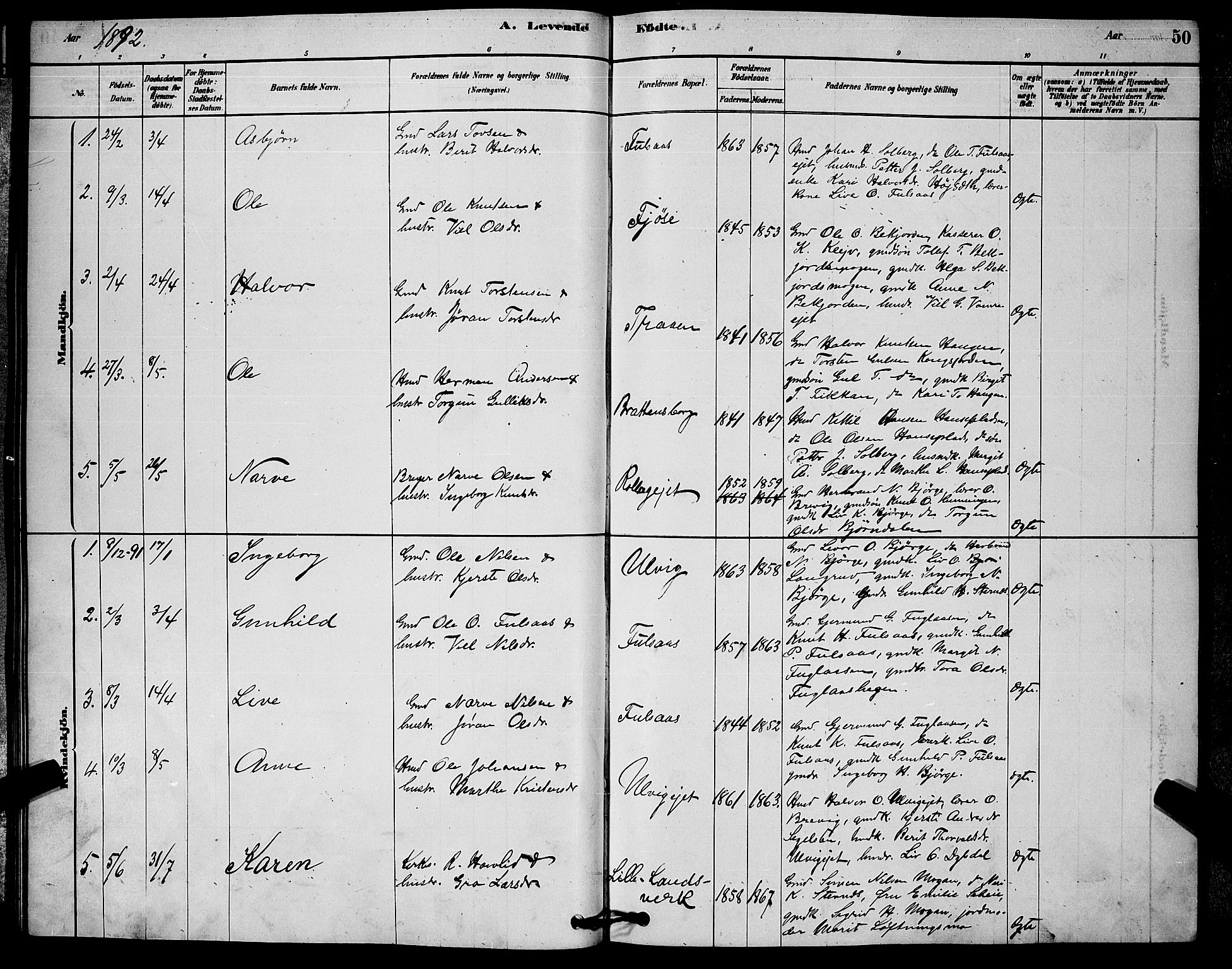 Rollag kirkebøker, SAKO/A-240/G/Ga/L0004: Parish register (copy) no. I 4, 1878-1903, p. 50