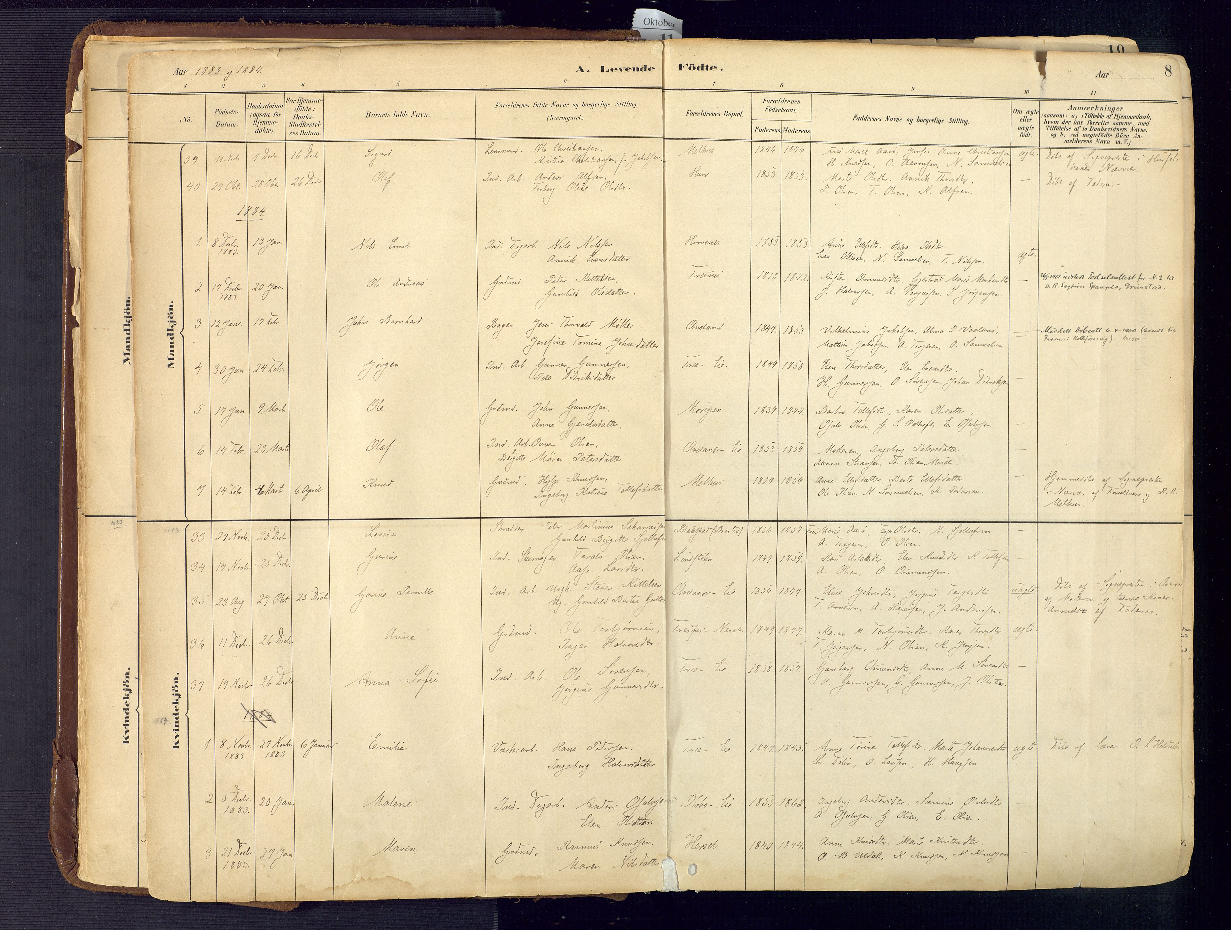 Froland sokneprestkontor, SAK/1111-0013/F/Fa/L0005: Parish register (official) no. A 5, 1882-1921, p. 8