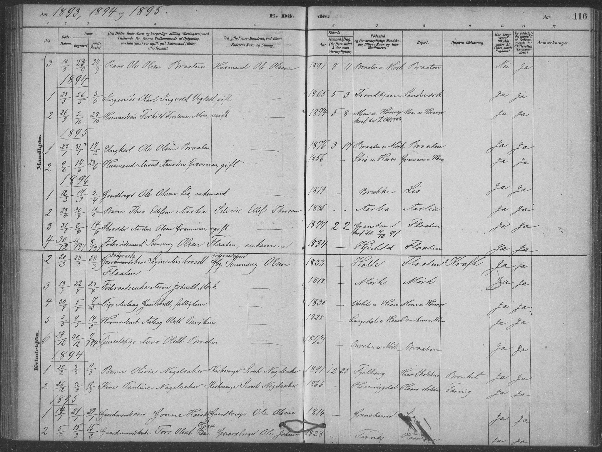 Heddal kirkebøker, SAKO/A-268/F/Fb/L0002: Parish register (official) no. II 2, 1878-1913, p. 116