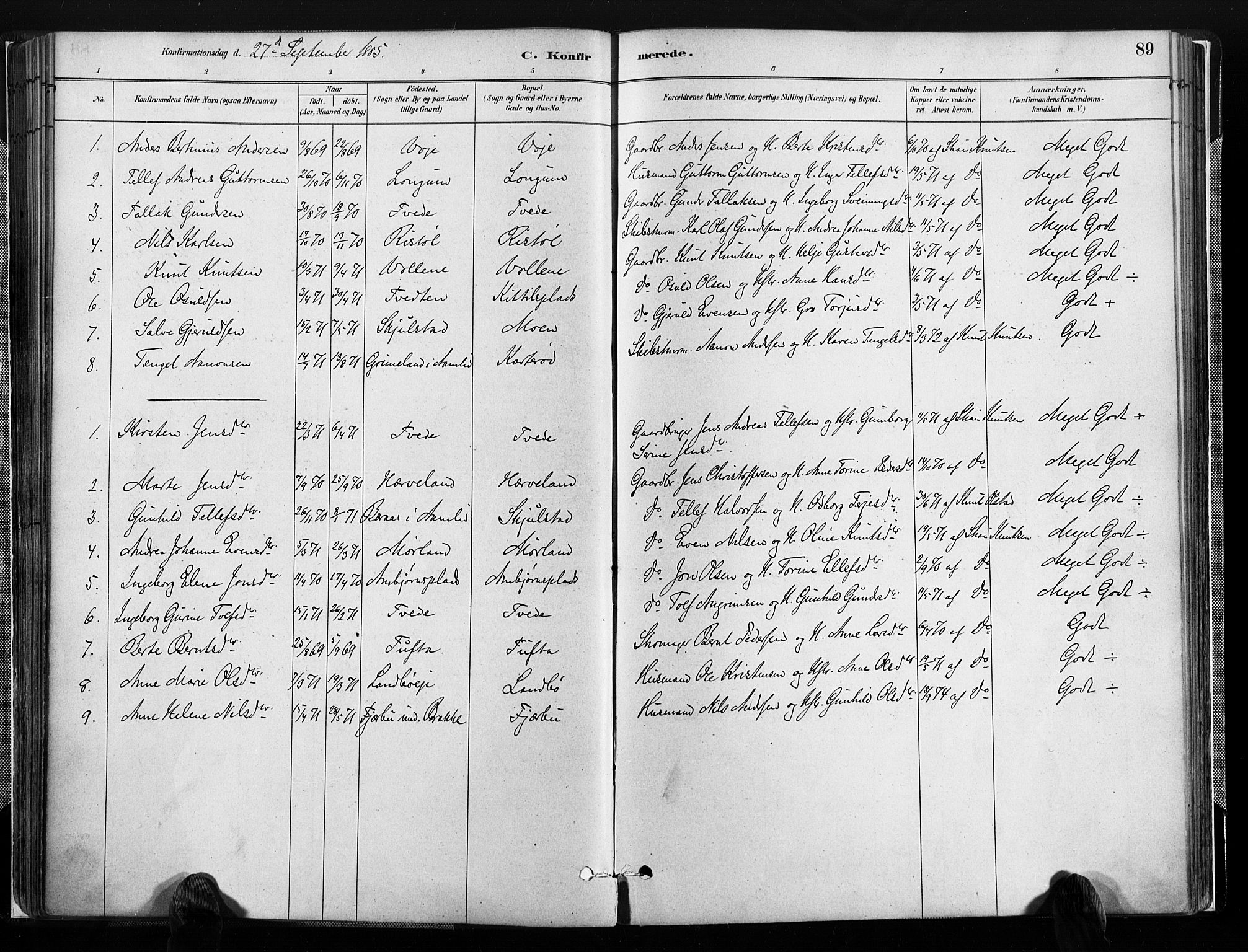 Austre Moland sokneprestkontor, AV/SAK-1111-0001/F/Fa/Faa/L0010: Parish register (official) no. A 10, 1880-1904, p. 89