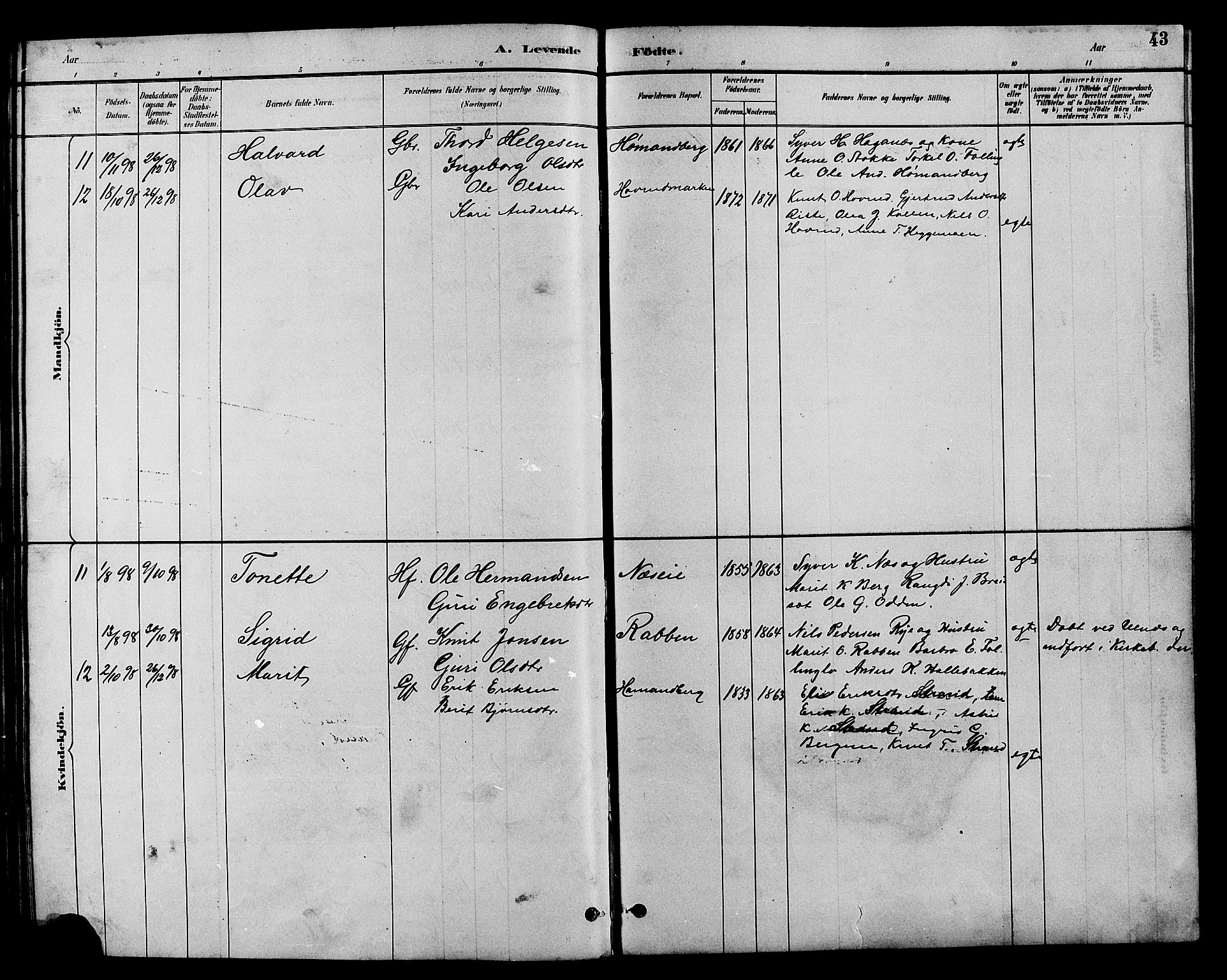 Nord-Aurdal prestekontor, SAH/PREST-132/H/Ha/Hab/L0007: Parish register (copy) no. 7, 1883-1910, p. 43