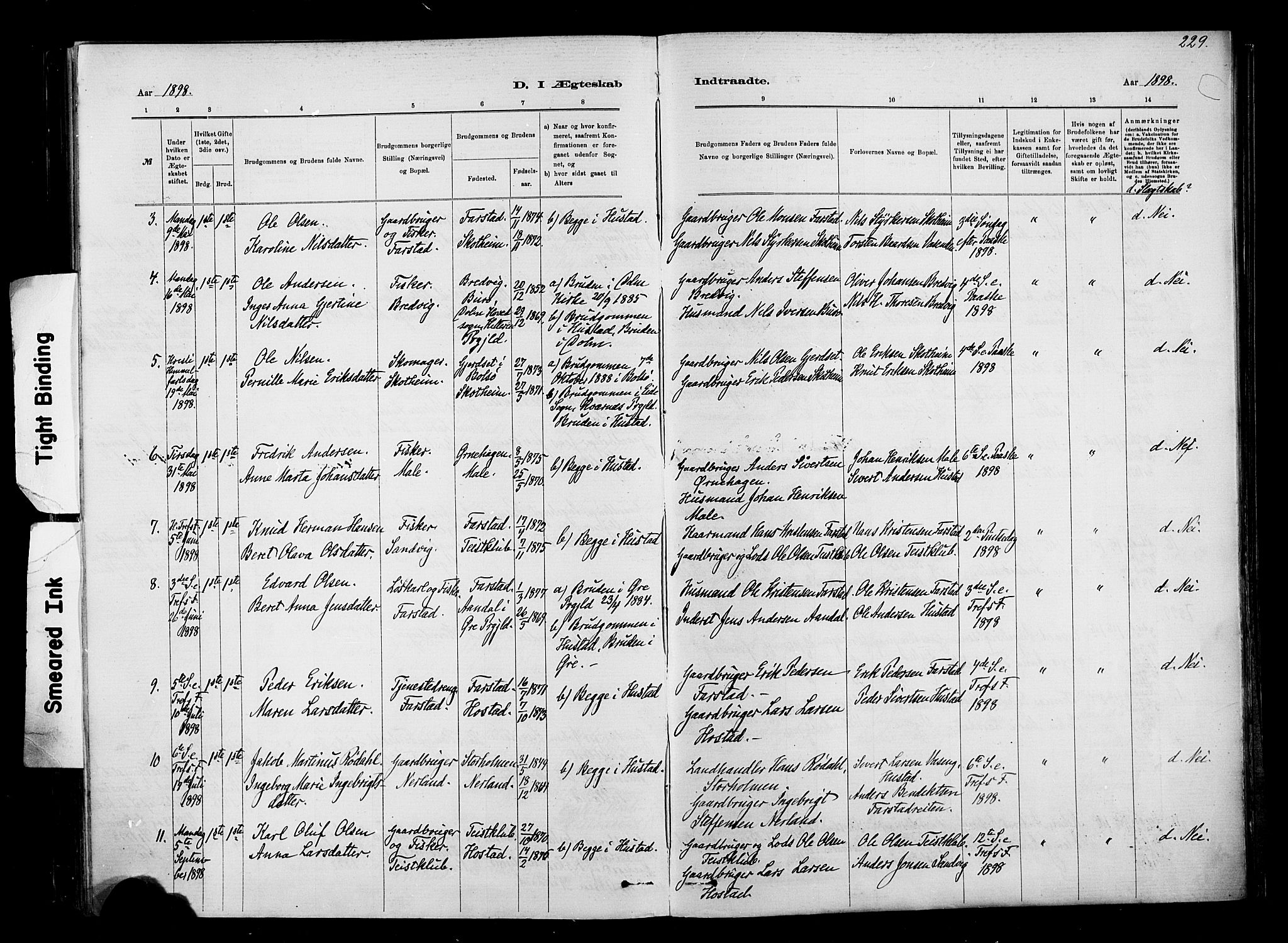 Ministerialprotokoller, klokkerbøker og fødselsregistre - Møre og Romsdal, AV/SAT-A-1454/567/L0778: Parish register (official) no. 567A01, 1881-1903, p. 229