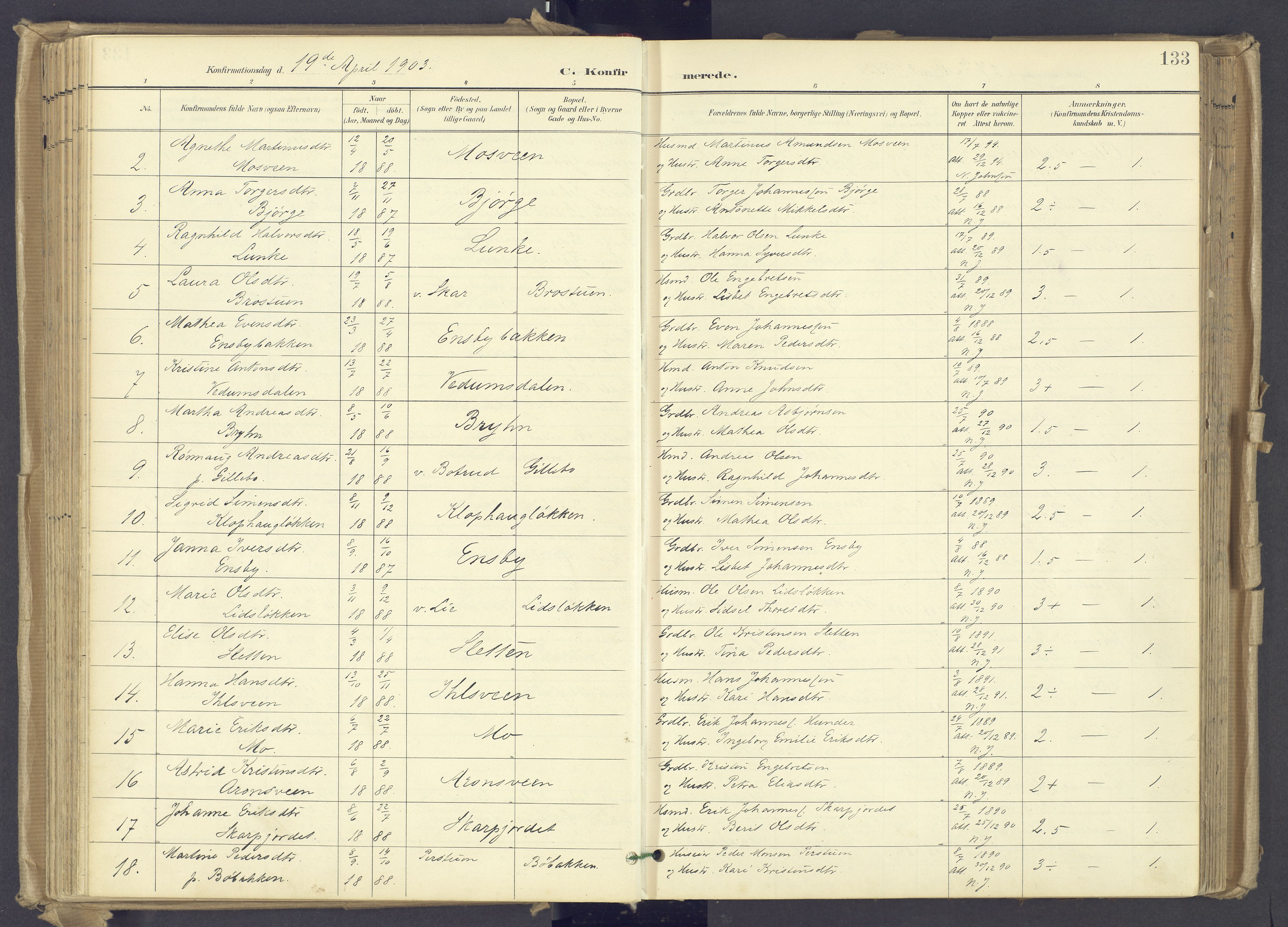 Øyer prestekontor, AV/SAH-PREST-084/H/Ha/Haa/L0012: Parish register (official) no. 12, 1897-1920, p. 133