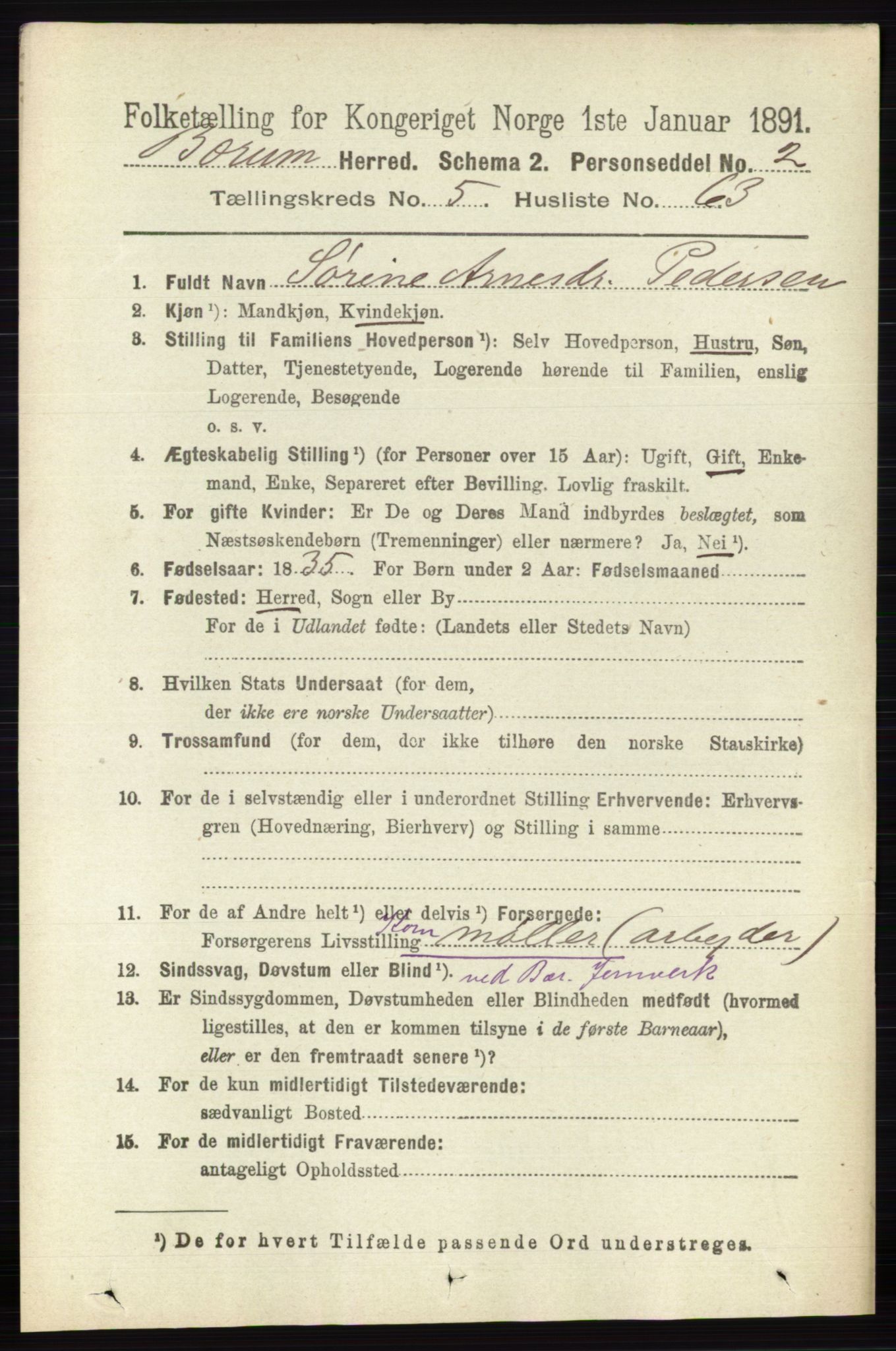 RA, 1891 census for 0219 Bærum, 1891, p. 3413