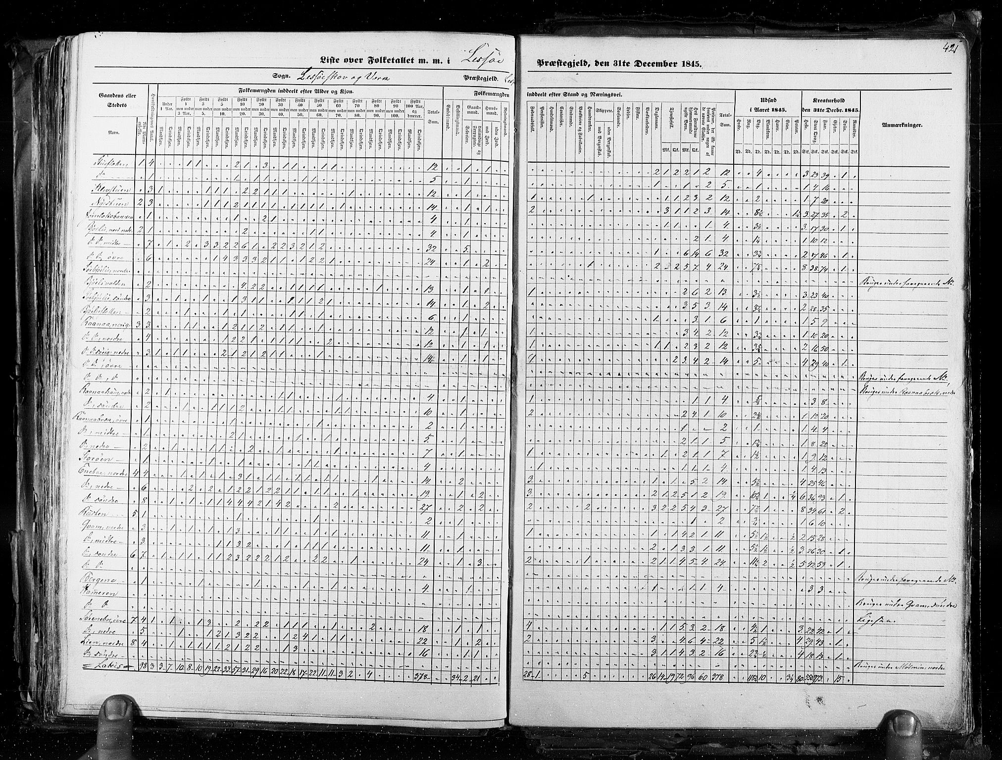 RA, Census 1845, vol. 3: Hedemarken amt og Kristians amt, 1845, p. 421