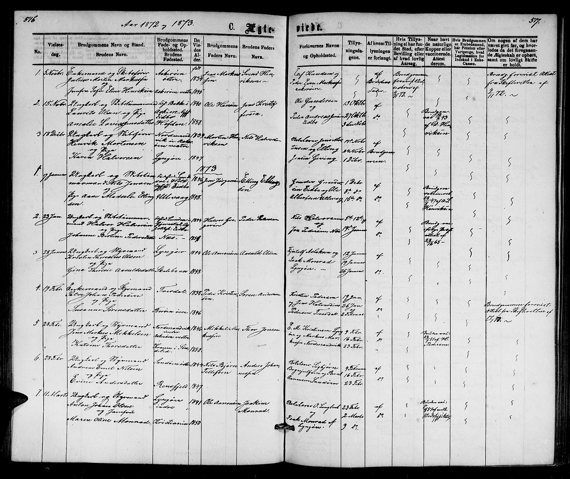 Dypvåg sokneprestkontor, SAK/1111-0007/F/Fb/Fba/L0012: Parish register (copy) no. B 12, 1872-1886, p. 516-517