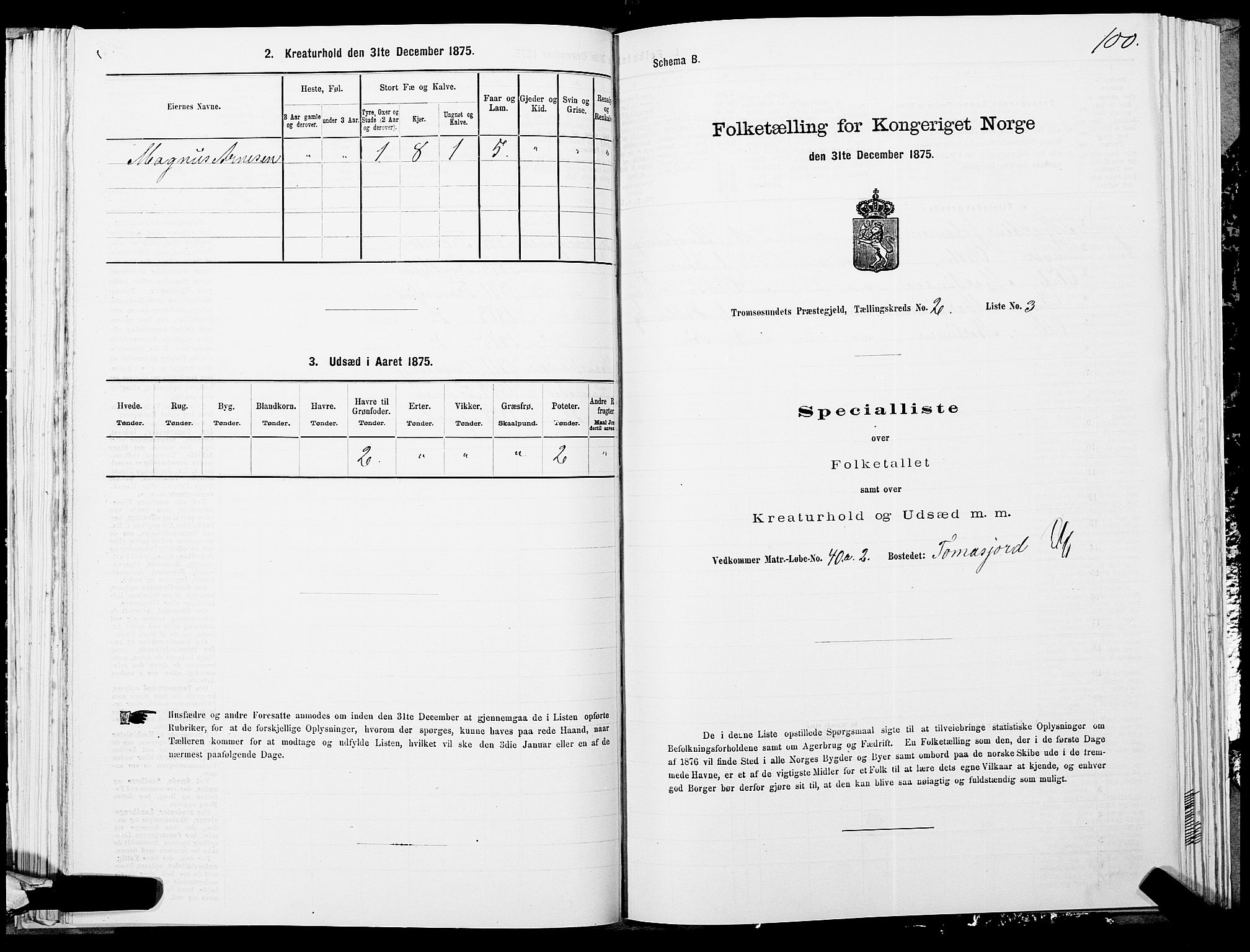 SATØ, 1875 census for 1934P Tromsøysund, 1875, p. 1100