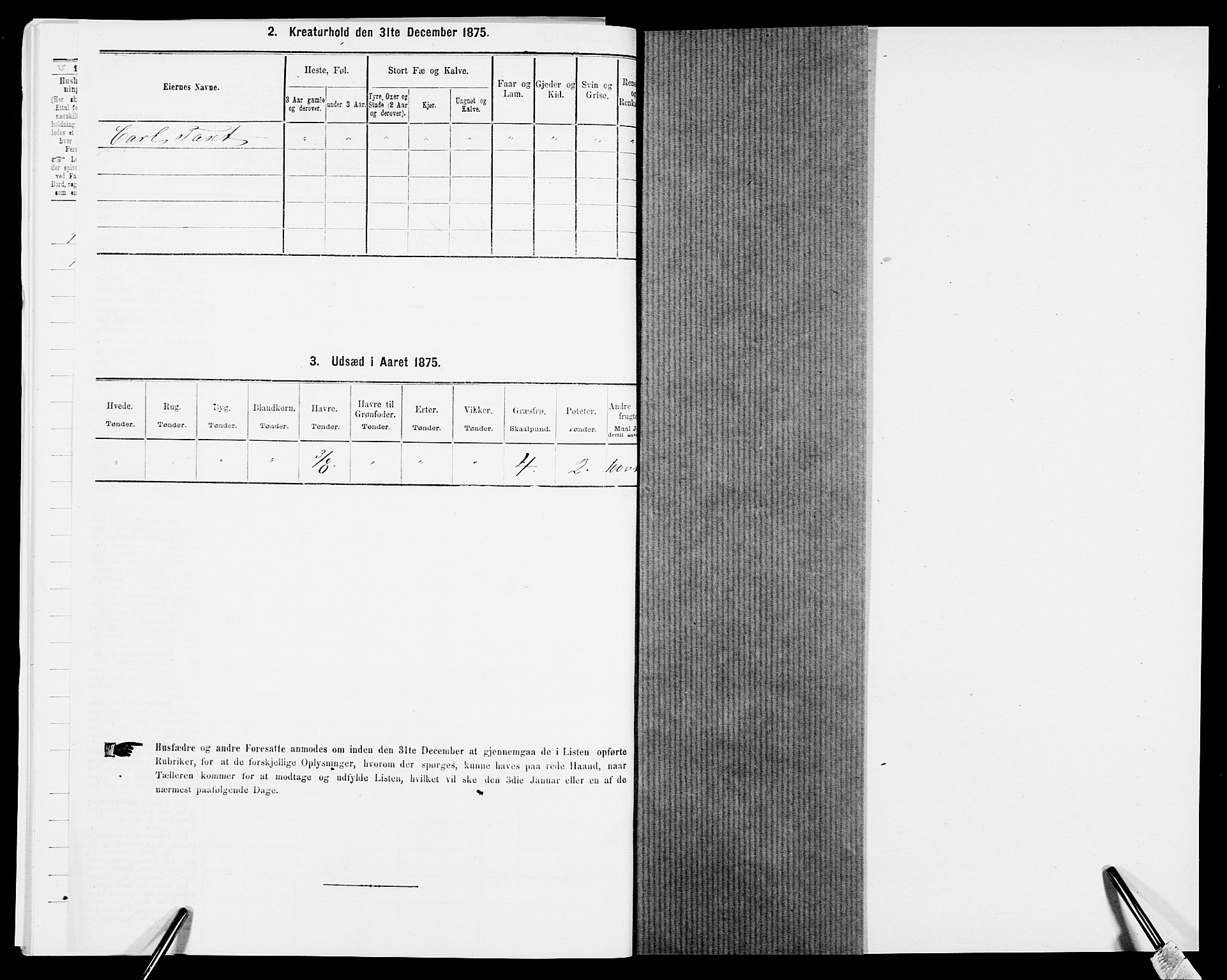 SAK, 1875 census for 0913L Risør/Søndeled, 1875, p. 372