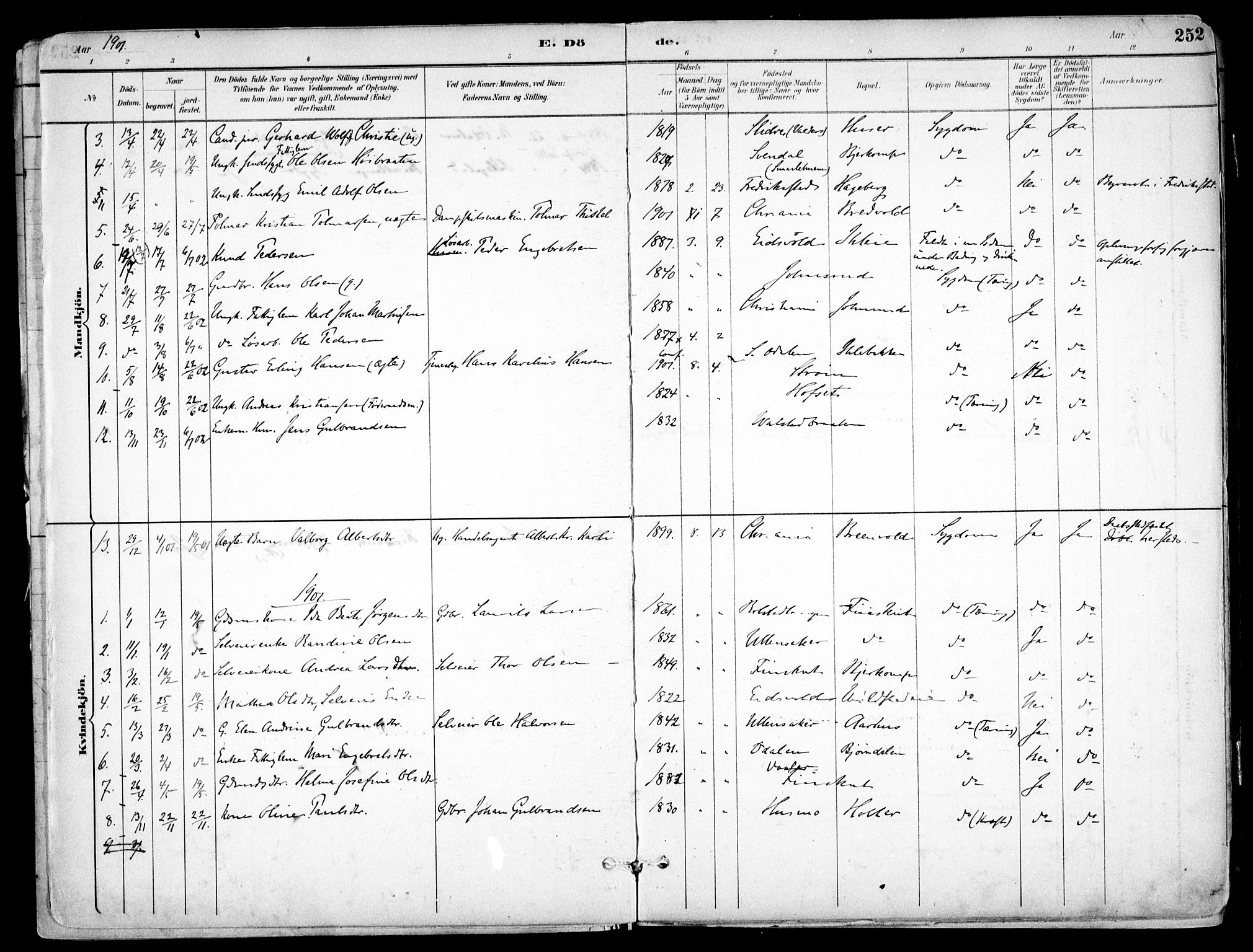 Nes prestekontor Kirkebøker, AV/SAO-A-10410/F/Fb/L0002: Parish register (official) no. II 2, 1883-1918, p. 252