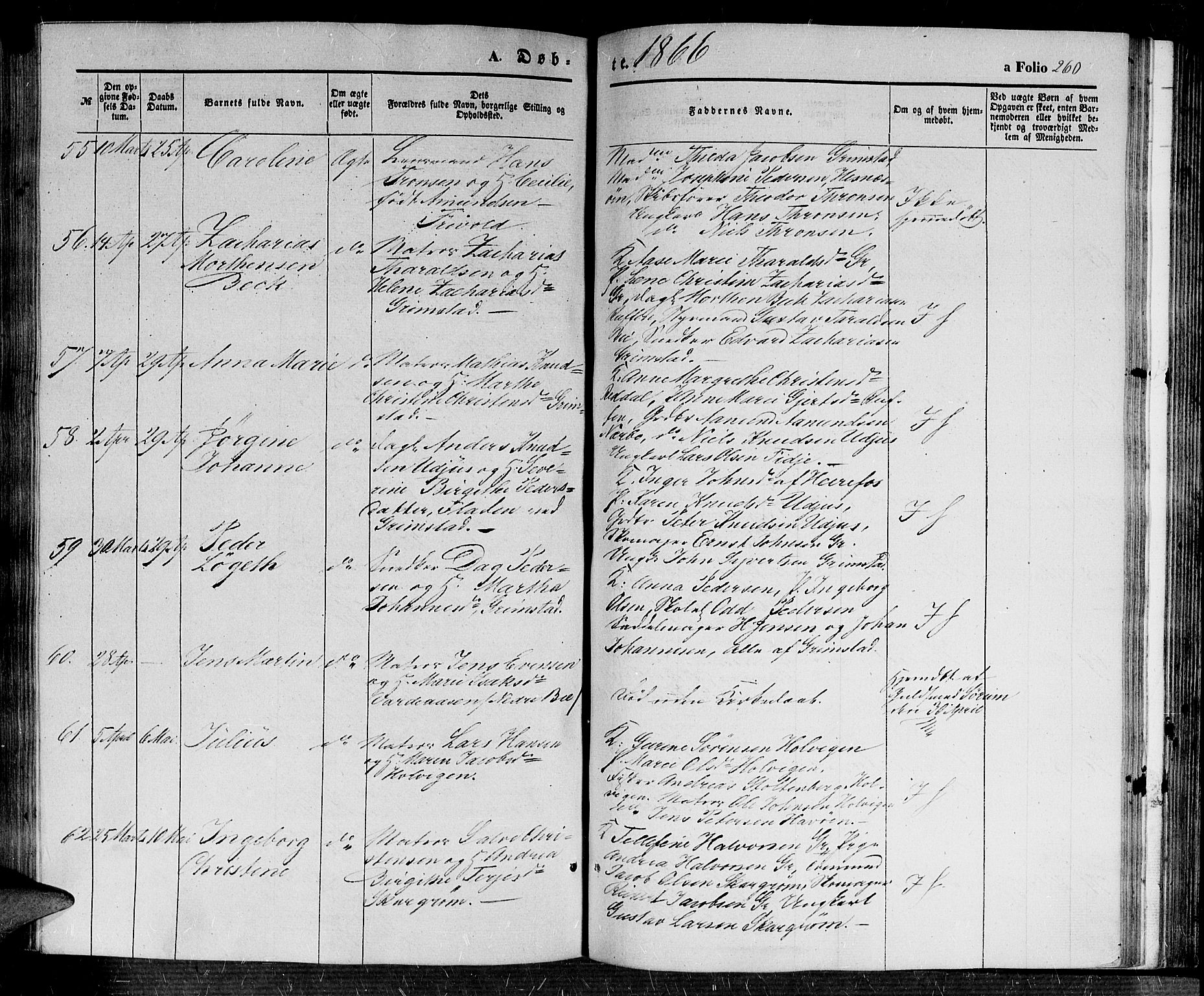Fjære sokneprestkontor, SAK/1111-0011/F/Fb/L0008: Parish register (copy) no. B 8, 1854-1867, p. 260