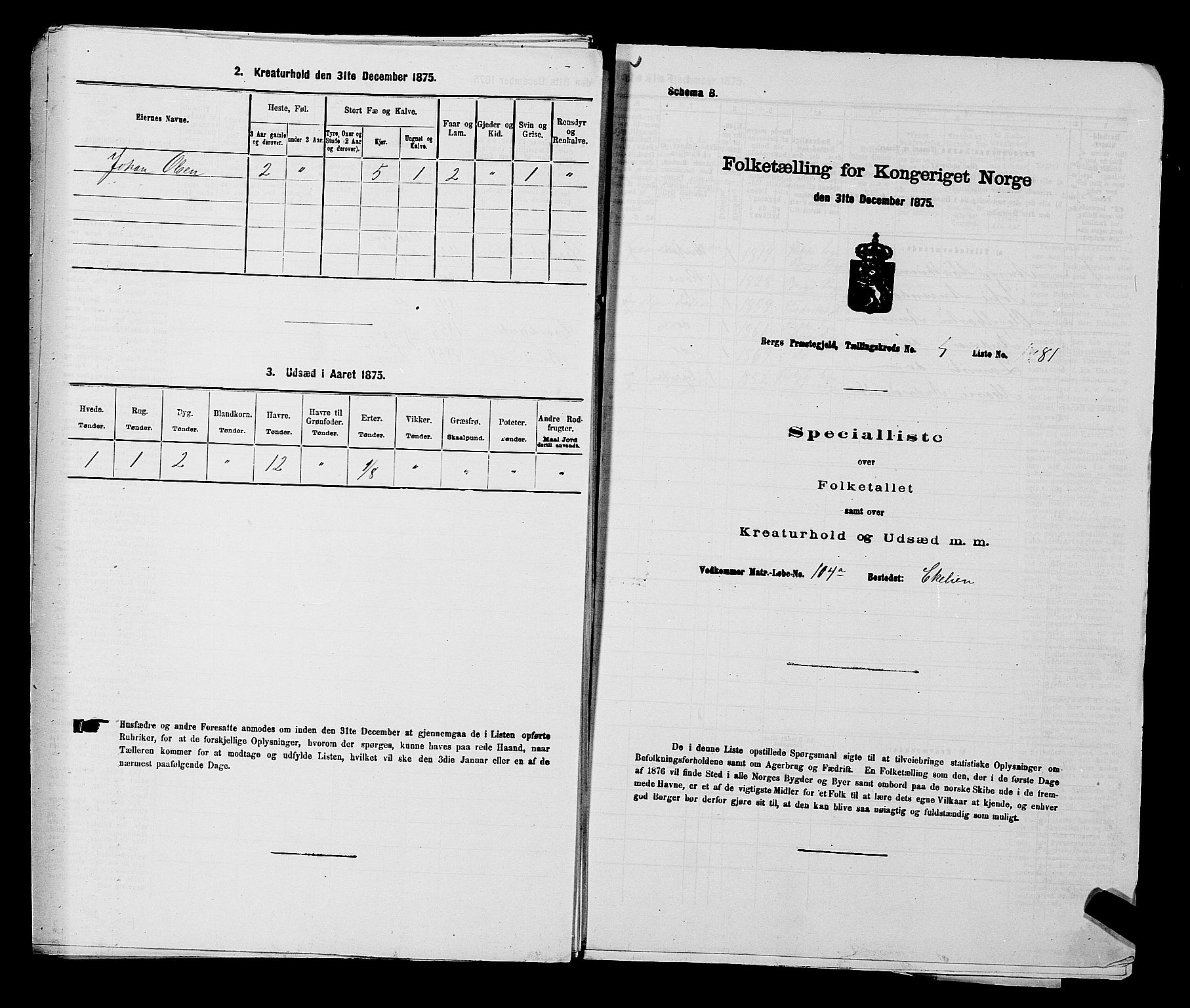 RA, 1875 census for 0116P Berg, 1875, p. 677