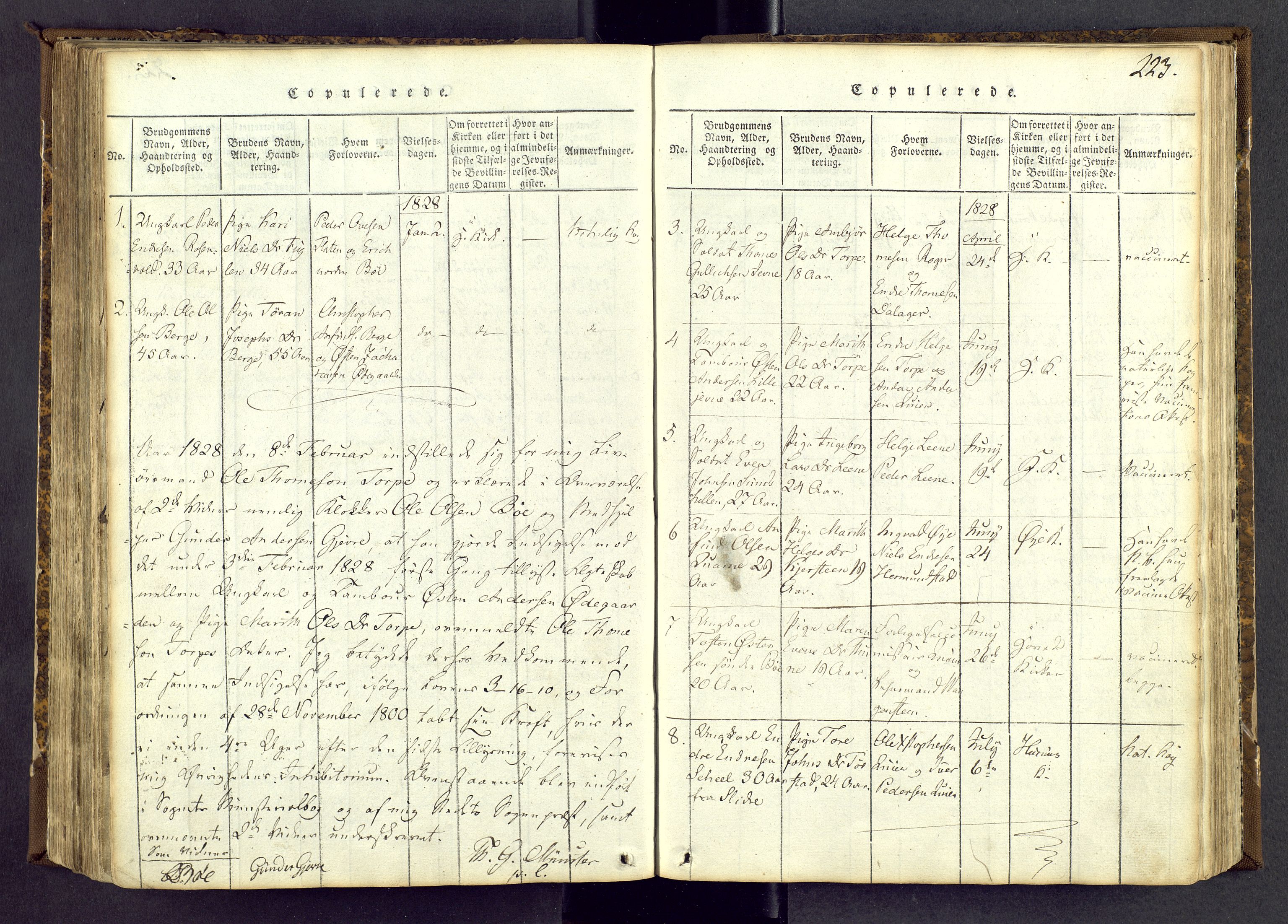 Vang prestekontor, Valdres, SAH/PREST-140/H/Ha/L0004: Parish register (official) no. 4, 1814-1831, p. 223
