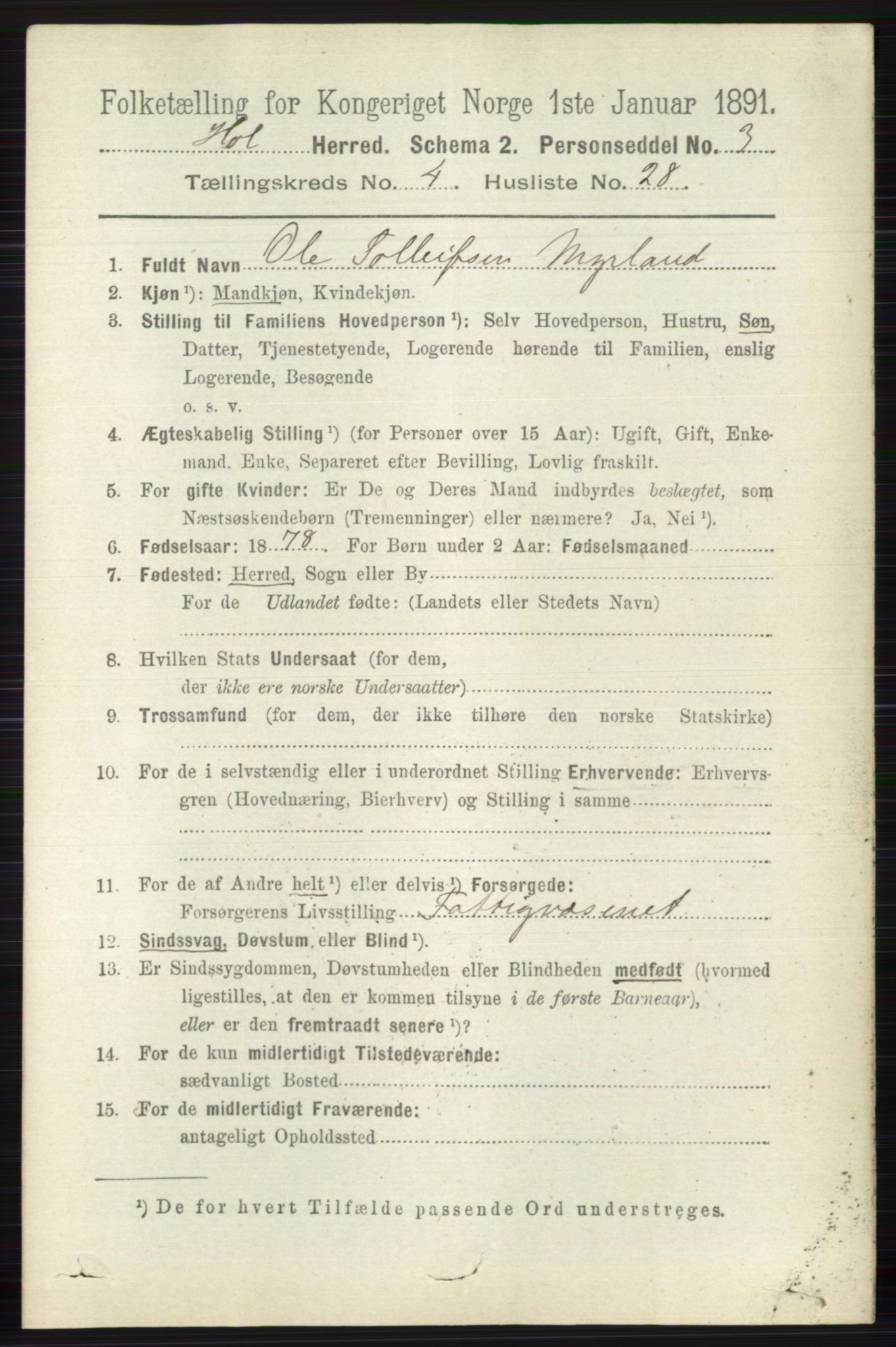 RA, 1891 census for 0620 Hol, 1891, p. 1411