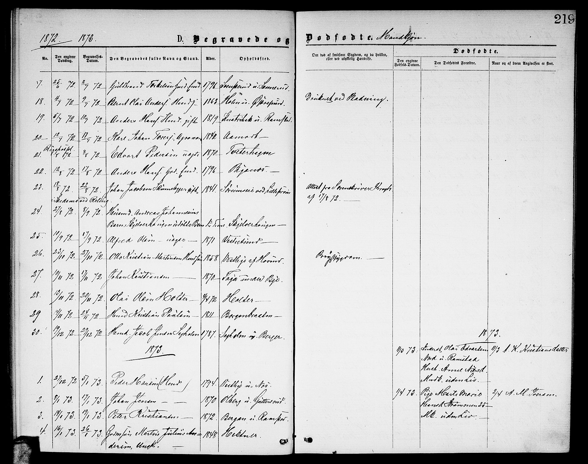 Fet prestekontor Kirkebøker, SAO/A-10370a/G/Ga/L0004: Parish register (copy) no. I 4, 1868-1874, p. 219