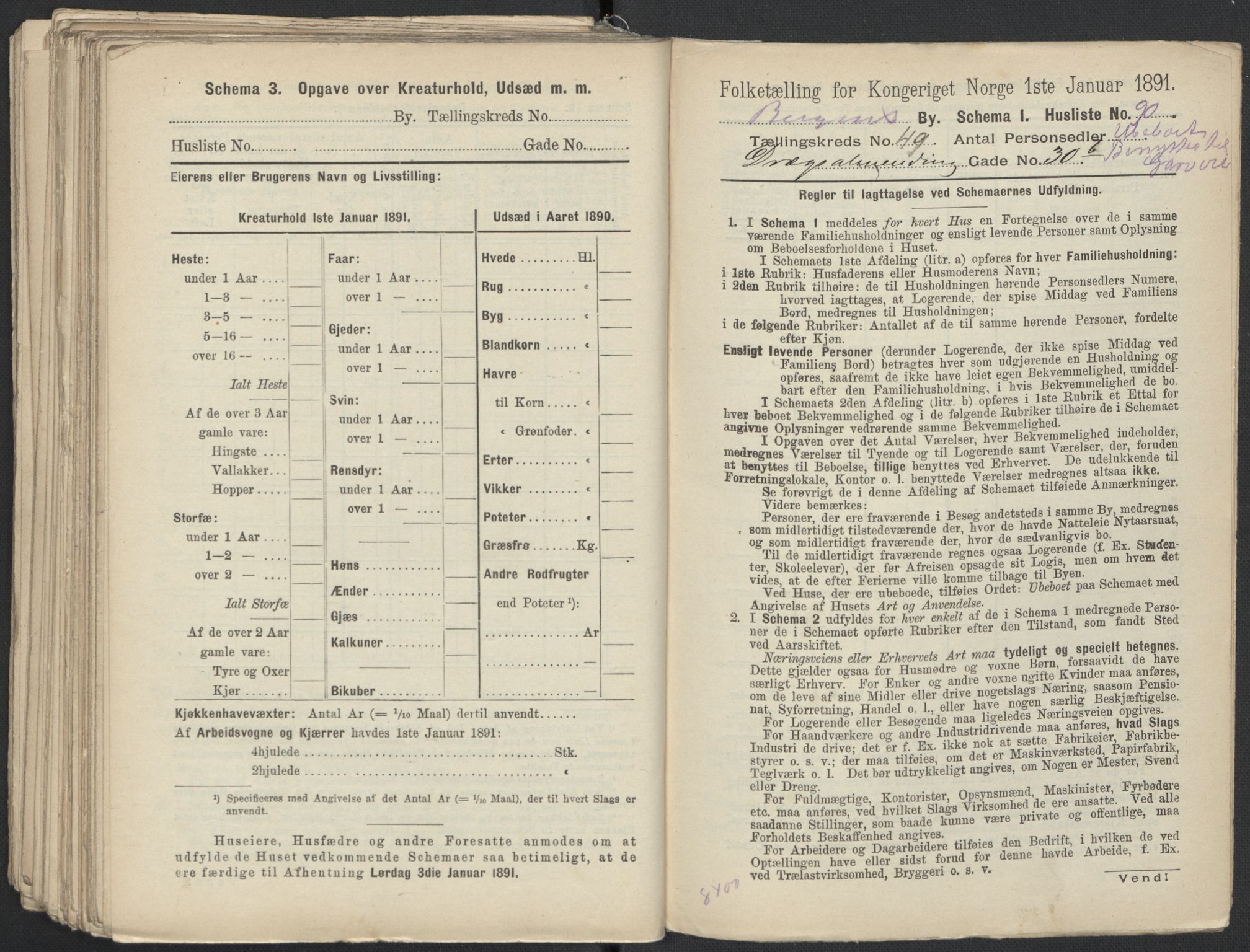 RA, 1891 Census for 1301 Bergen, 1891, p. 8138