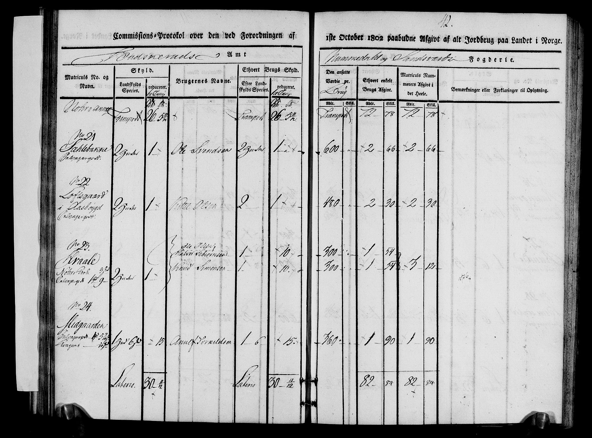 Rentekammeret inntil 1814, Realistisk ordnet avdeling, AV/RA-EA-4070/N/Ne/Nea/L0056b: Numedal og Sandsvær fogderi. Kommisjonsprotokoll over matrikulerte jordbruk i Uvdal og Nore annekser, 1803, p. 42