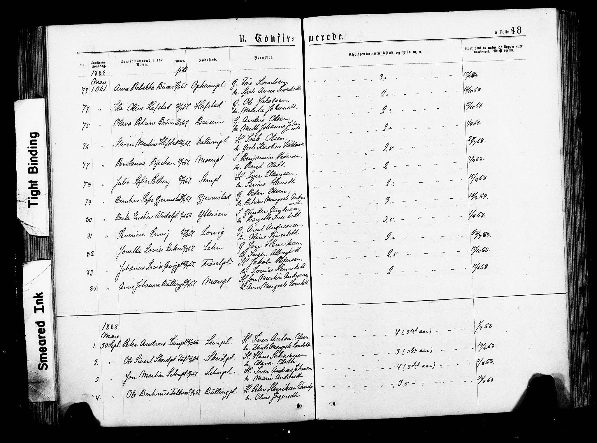 Ministerialprotokoller, klokkerbøker og fødselsregistre - Nord-Trøndelag, SAT/A-1458/735/L0348: Parish register (official) no. 735A09 /1, 1873-1883, p. 48