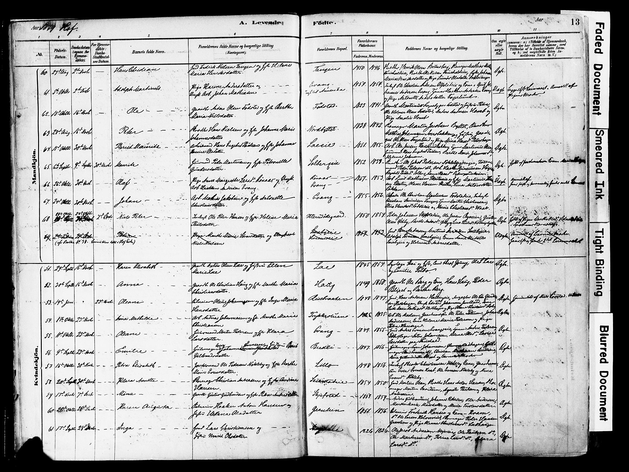 Østre Toten prestekontor, AV/SAH-PREST-104/H/Ha/Haa/L0006: Parish register (official) no. 6 /1, 1878-1896, p. 13