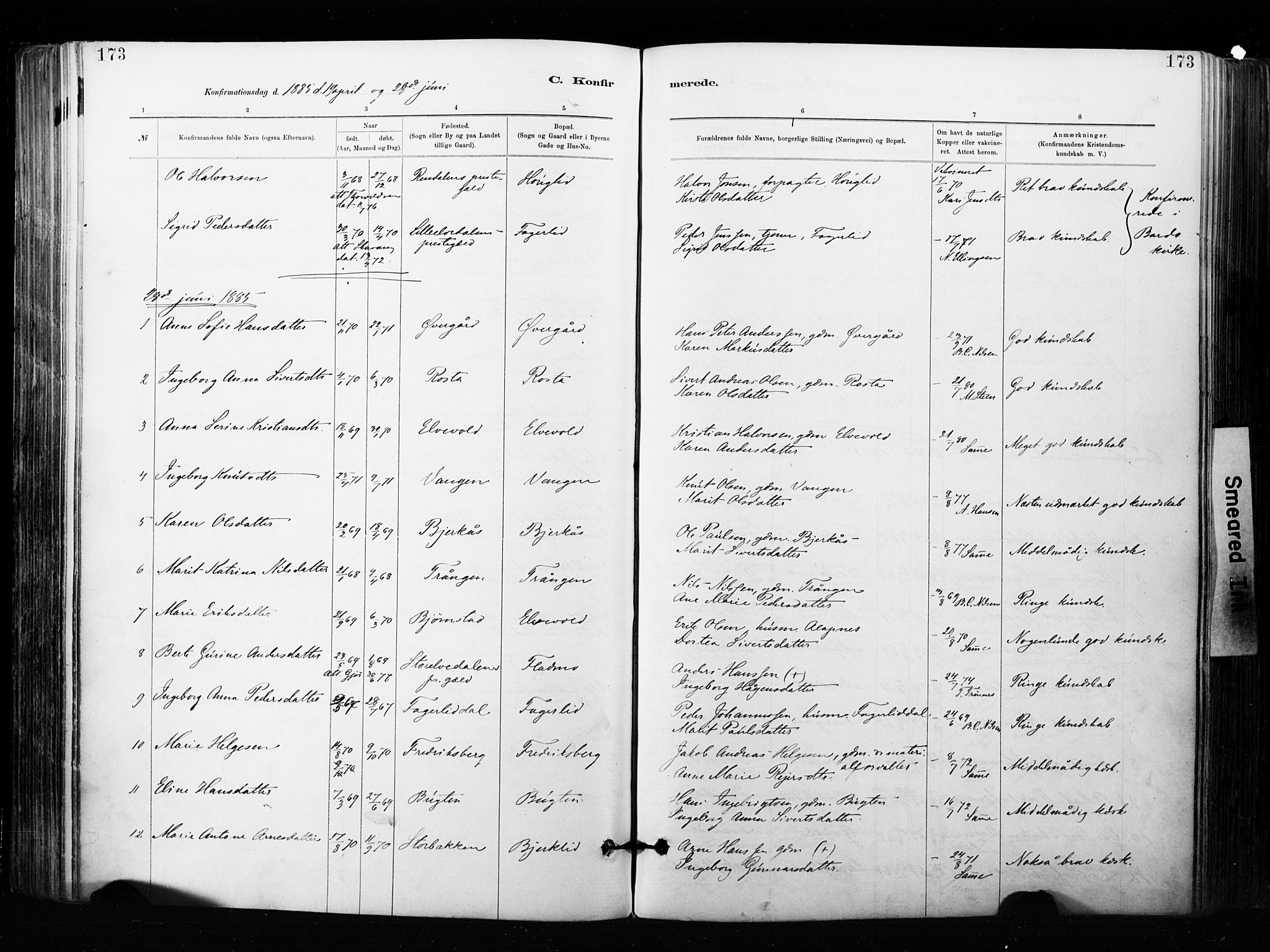 Målselv sokneprestembete, AV/SATØ-S-1311/G/Ga/Gaa/L0007kirke: Parish register (official) no. 7, 1884-1903, p. 173