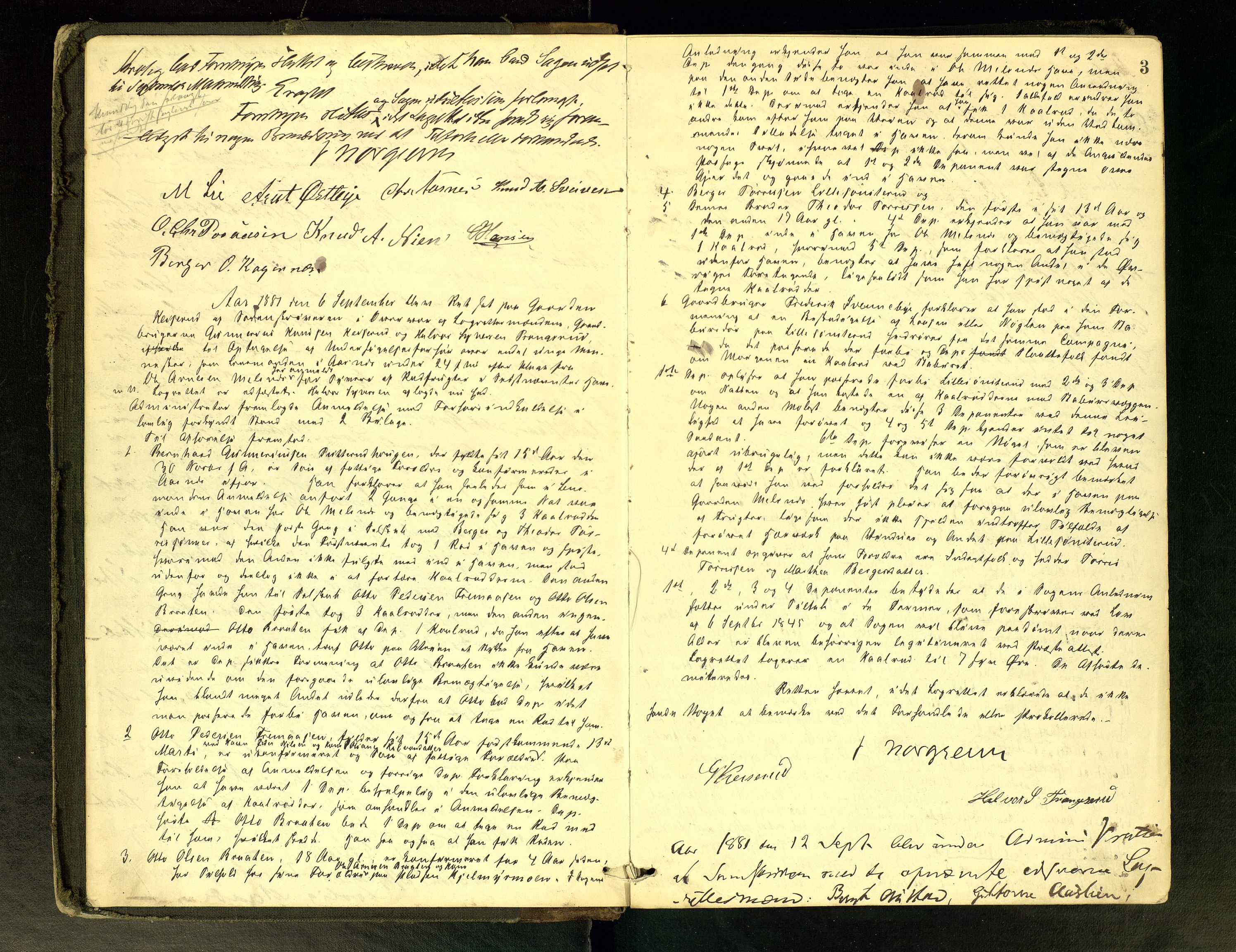 Solør tingrett, AV/SAH-TING-008/G/Gc/Gca/L0020: Ekstrarettsprotokoll, 1881-1886, p. 3