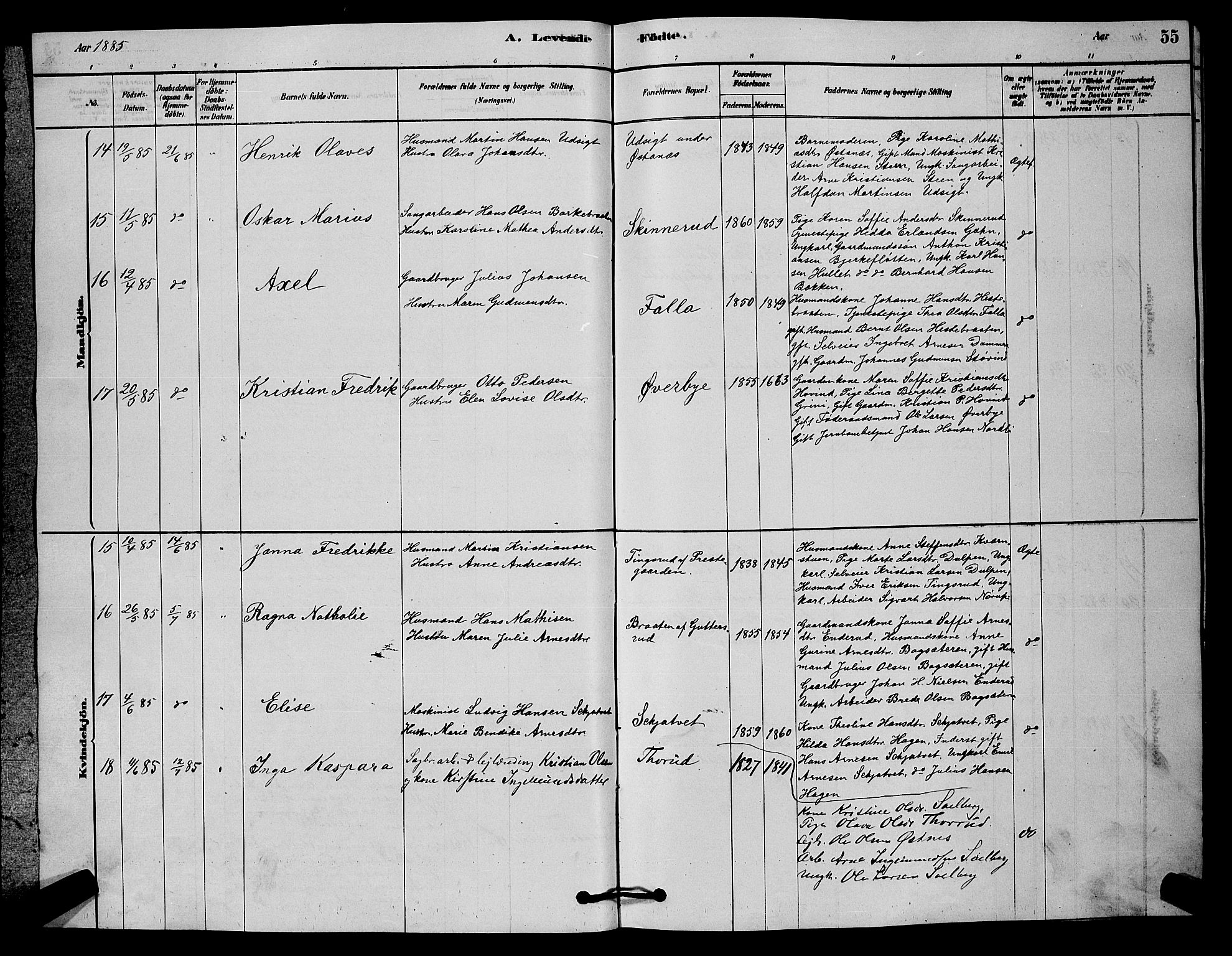 Fet prestekontor Kirkebøker, AV/SAO-A-10370a/G/Ga/L0006: Parish register (copy) no. I 6, 1878-1891, p. 55