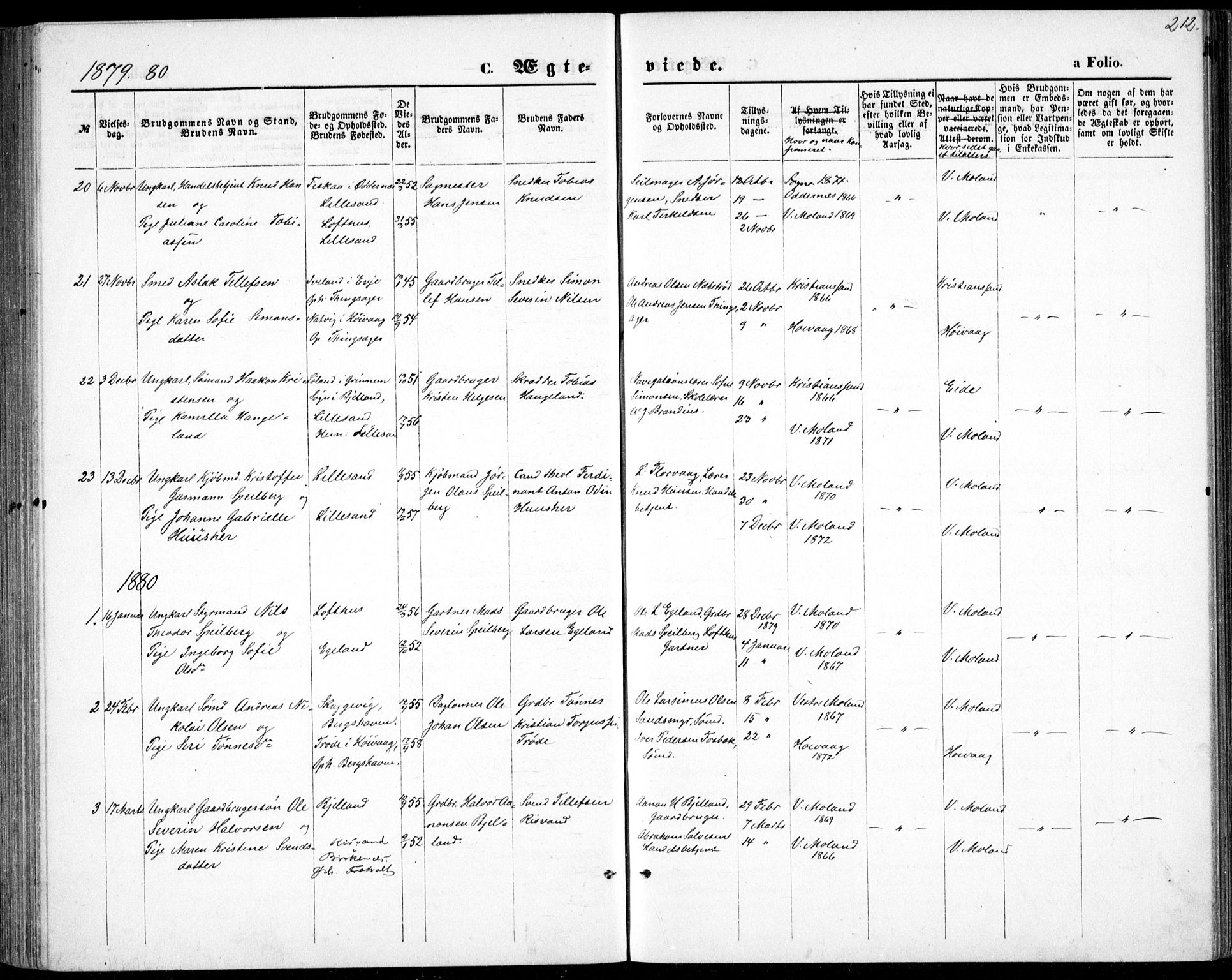 Vestre Moland sokneprestkontor, AV/SAK-1111-0046/F/Fb/Fbb/L0005: Parish register (copy) no. B 5, 1872-1883, p. 212