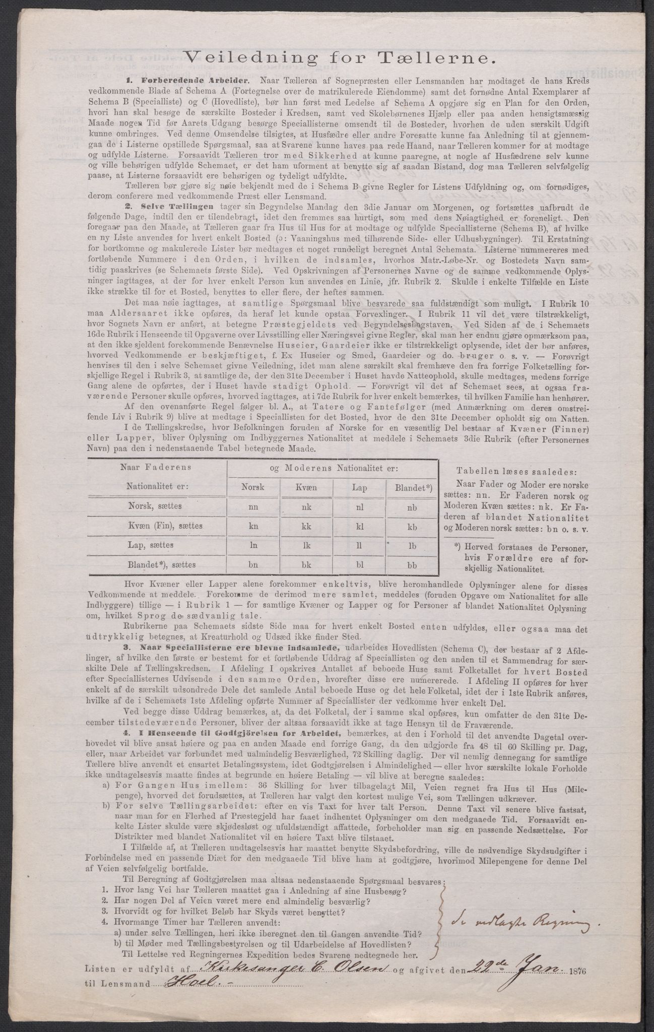 RA, 1875 census for 0238P Nannestad, 1875, p. 3