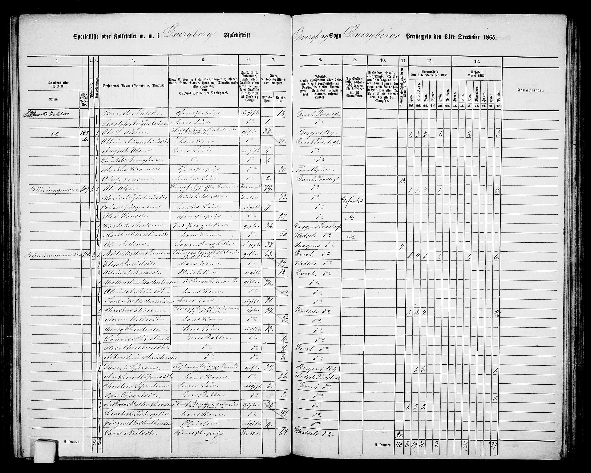 RA, 1865 census for Dverberg, 1865, p. 8