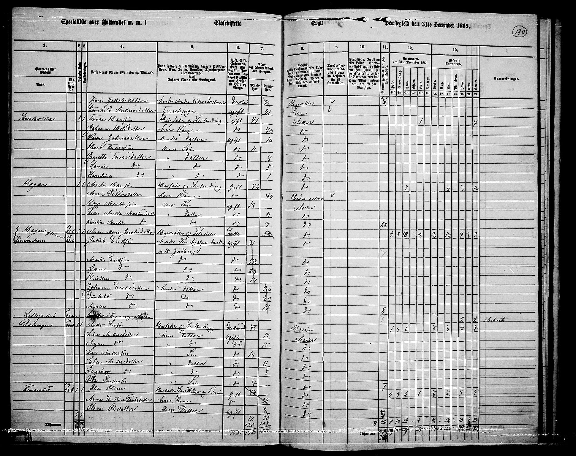 RA, 1865 census for Asker, 1865, p. 126