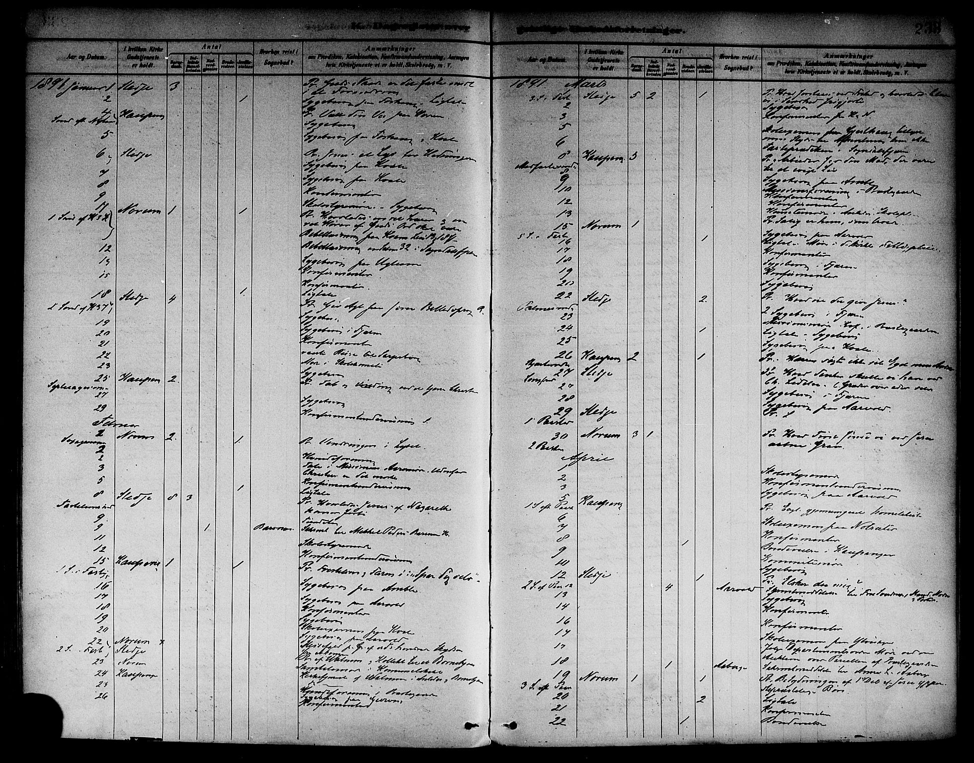 Sogndal sokneprestembete, AV/SAB-A-81301/H/Haa/Haab/L0001: Parish register (official) no. B 1, 1878-1899, p. 233