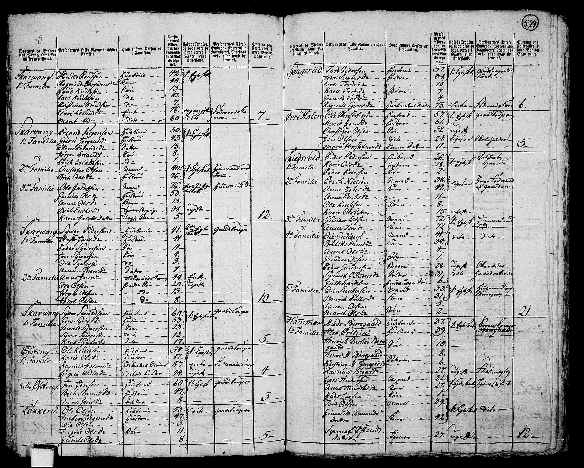 RA, 1801 census for 0515P Vågå, 1801, p. 528b-529a