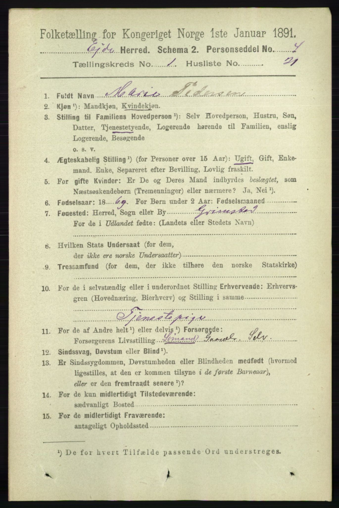 RA, 1891 census for 0925 Eide, 1891, p. 196