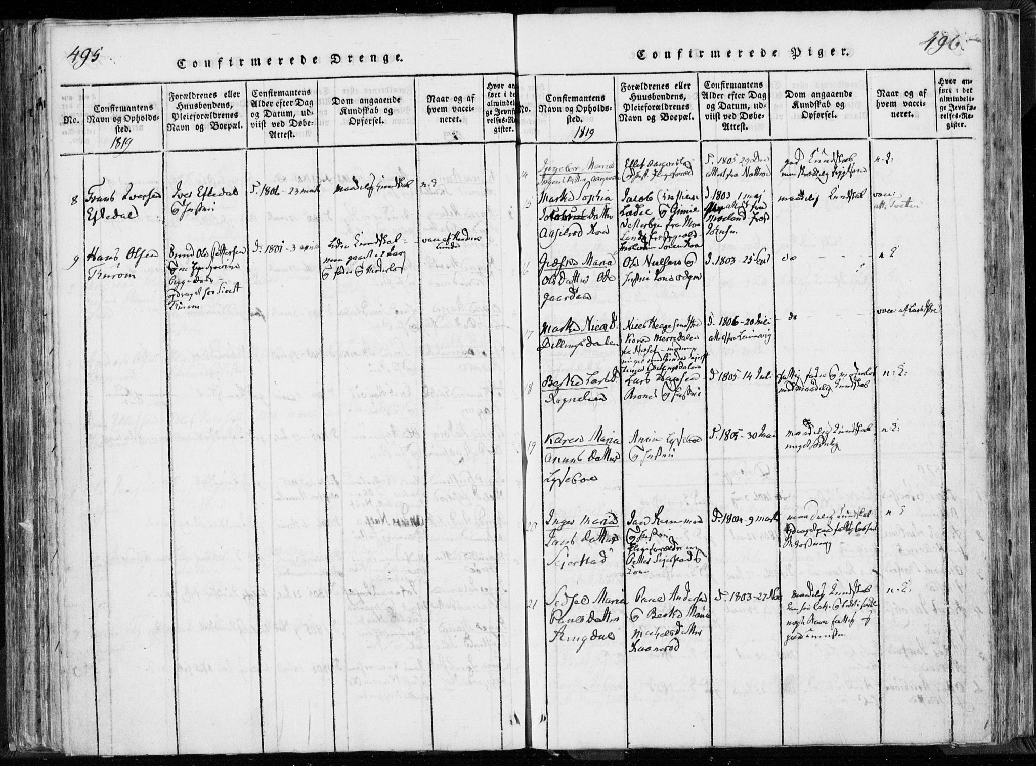 Hedrum kirkebøker, AV/SAKO-A-344/F/Fa/L0004: Parish register (official) no. I 4, 1817-1835, p. 495-496