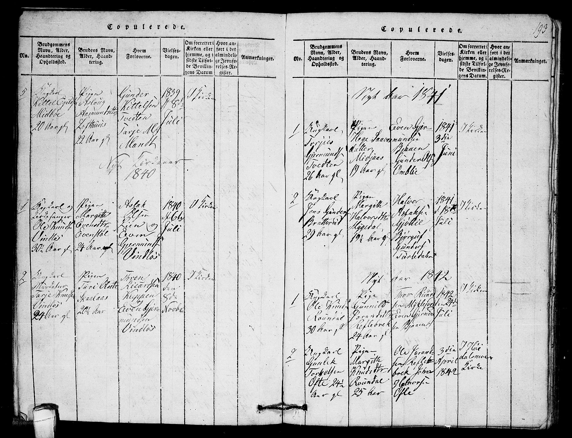 Lårdal kirkebøker, SAKO/A-284/G/Gb/L0001: Parish register (copy) no. II 1, 1815-1865, p. 193